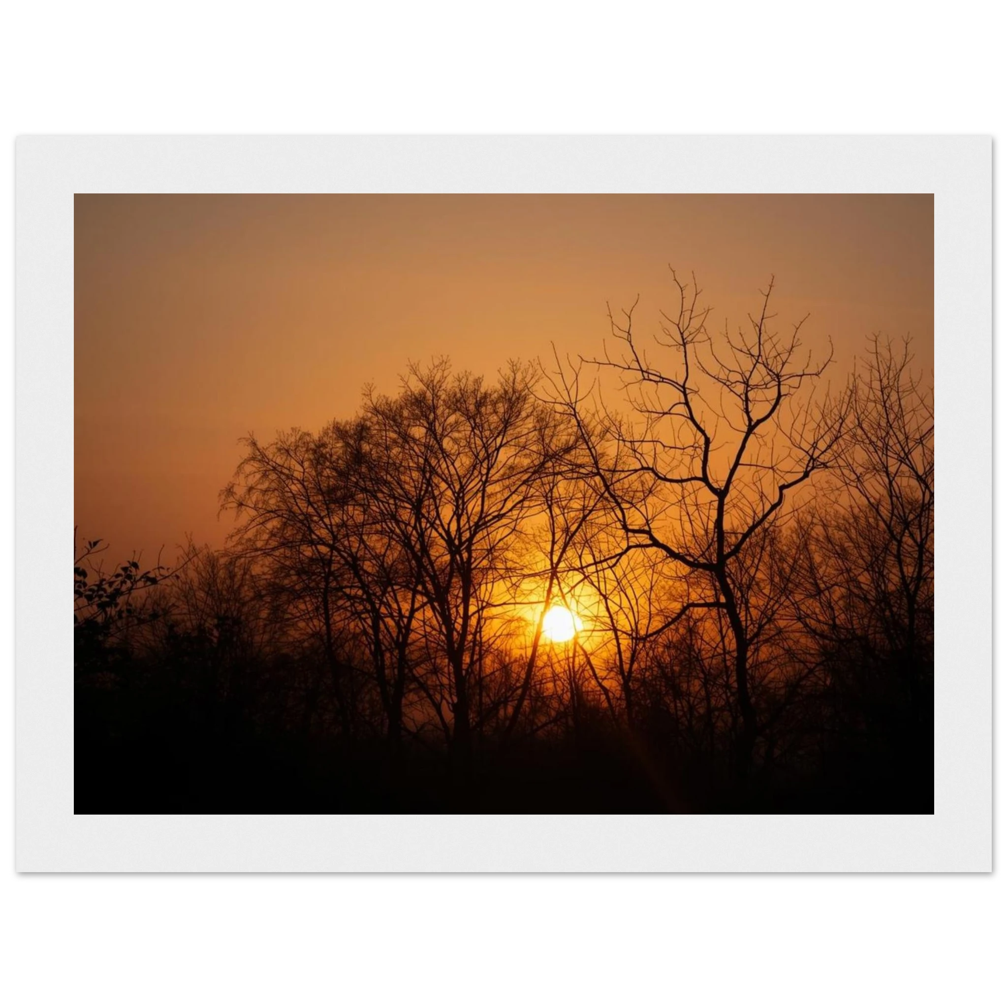 58eaa44e-9d22-439e-8f57-b8312c05c6dd