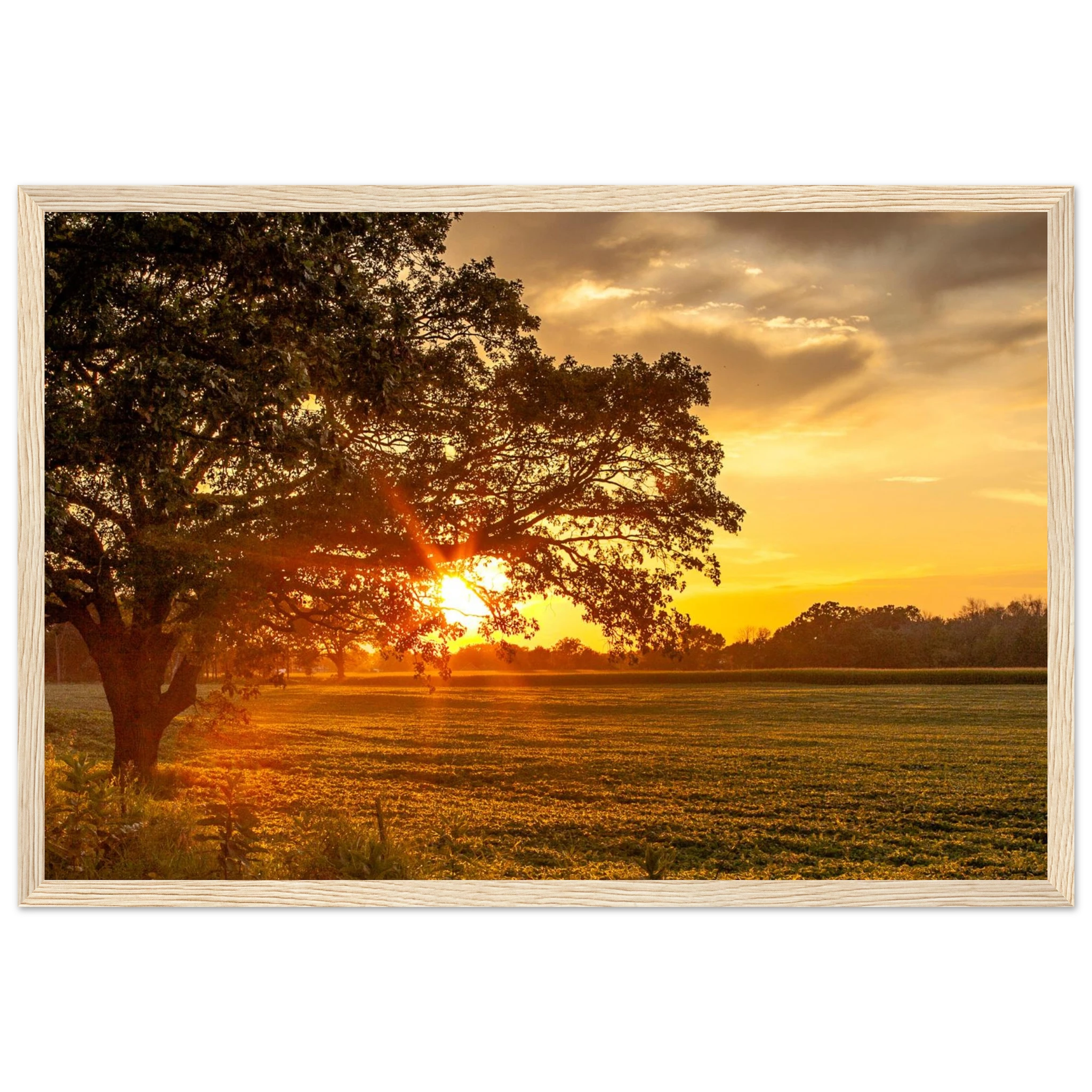 58eaf2f3-a723-4577-b476-810719a6a568