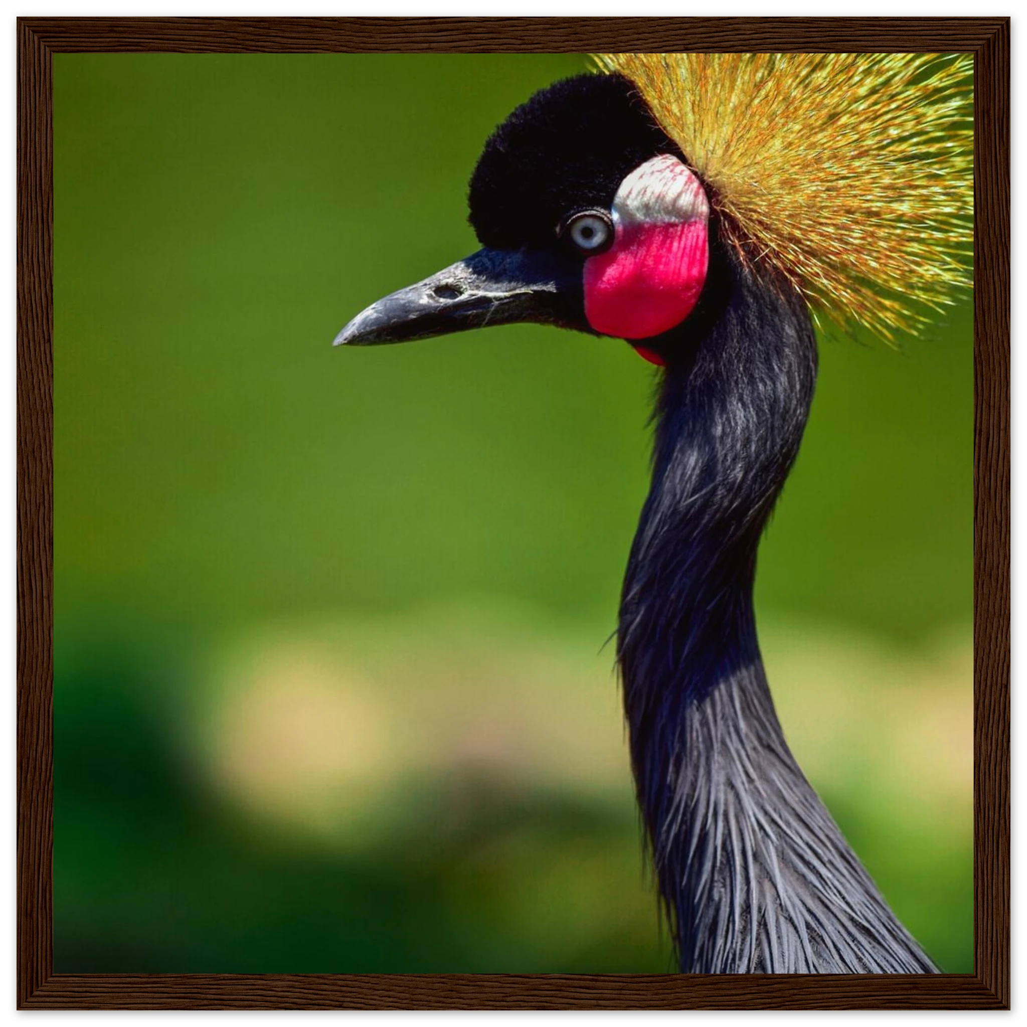 58eb4924-9c81-4f2f-8c2f-a6ef70efa9c0