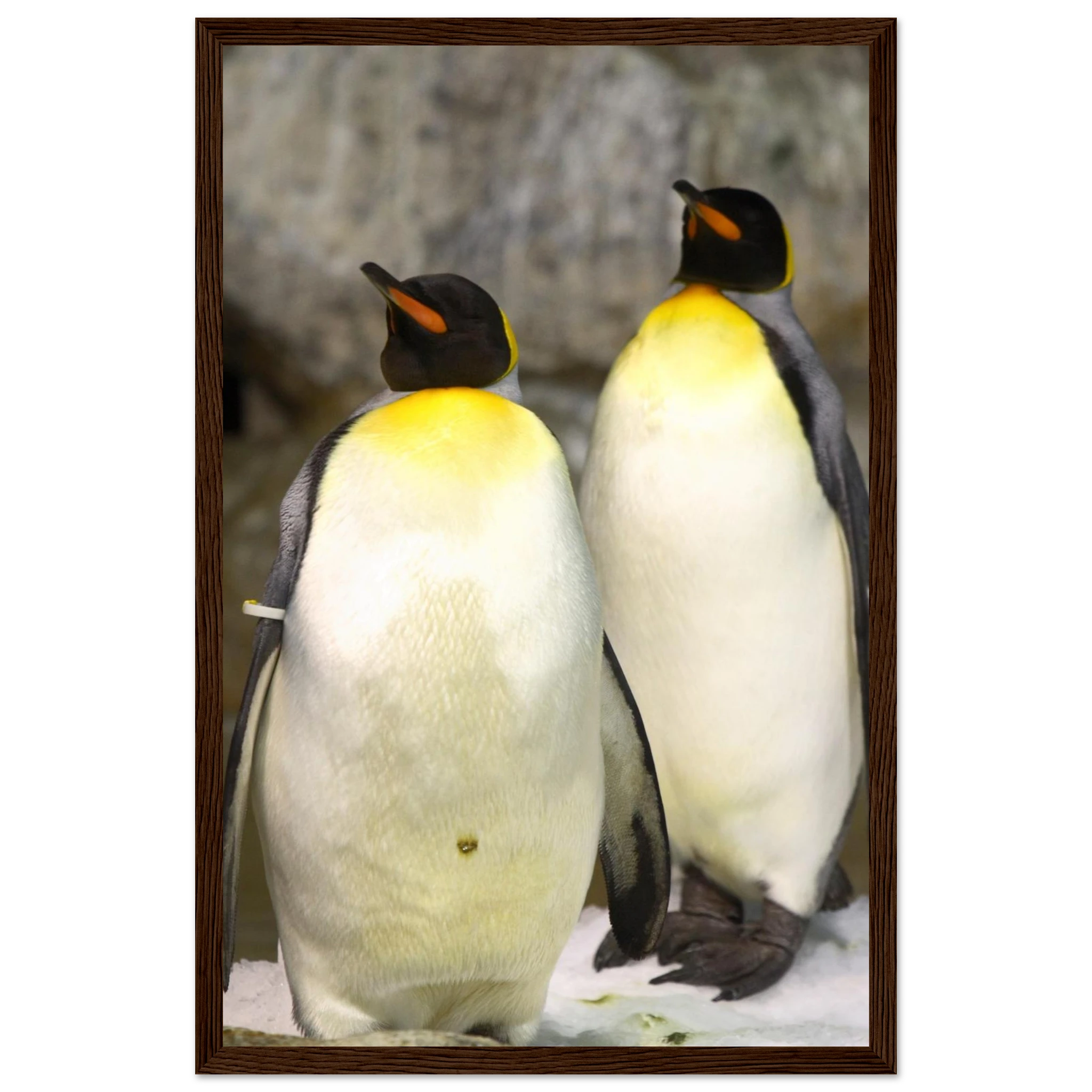 59330bd2-0986-47a3-90c5-b7f788306527