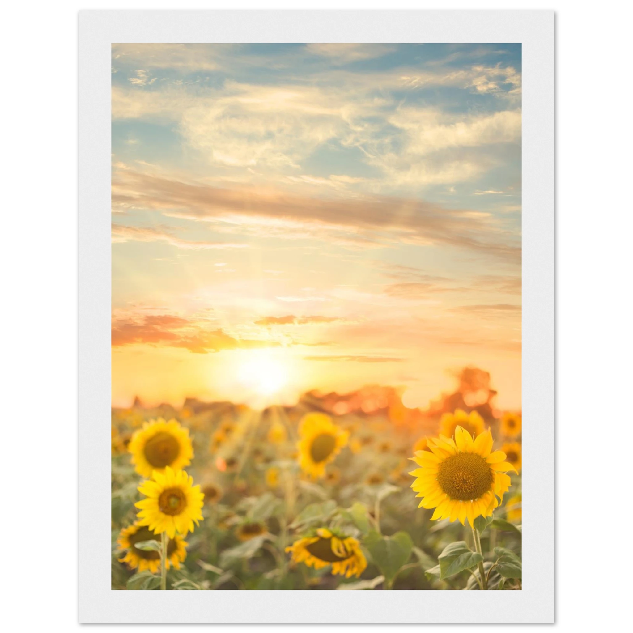 5939e13b-3371-4219-bc61-dbb9bb45ecce