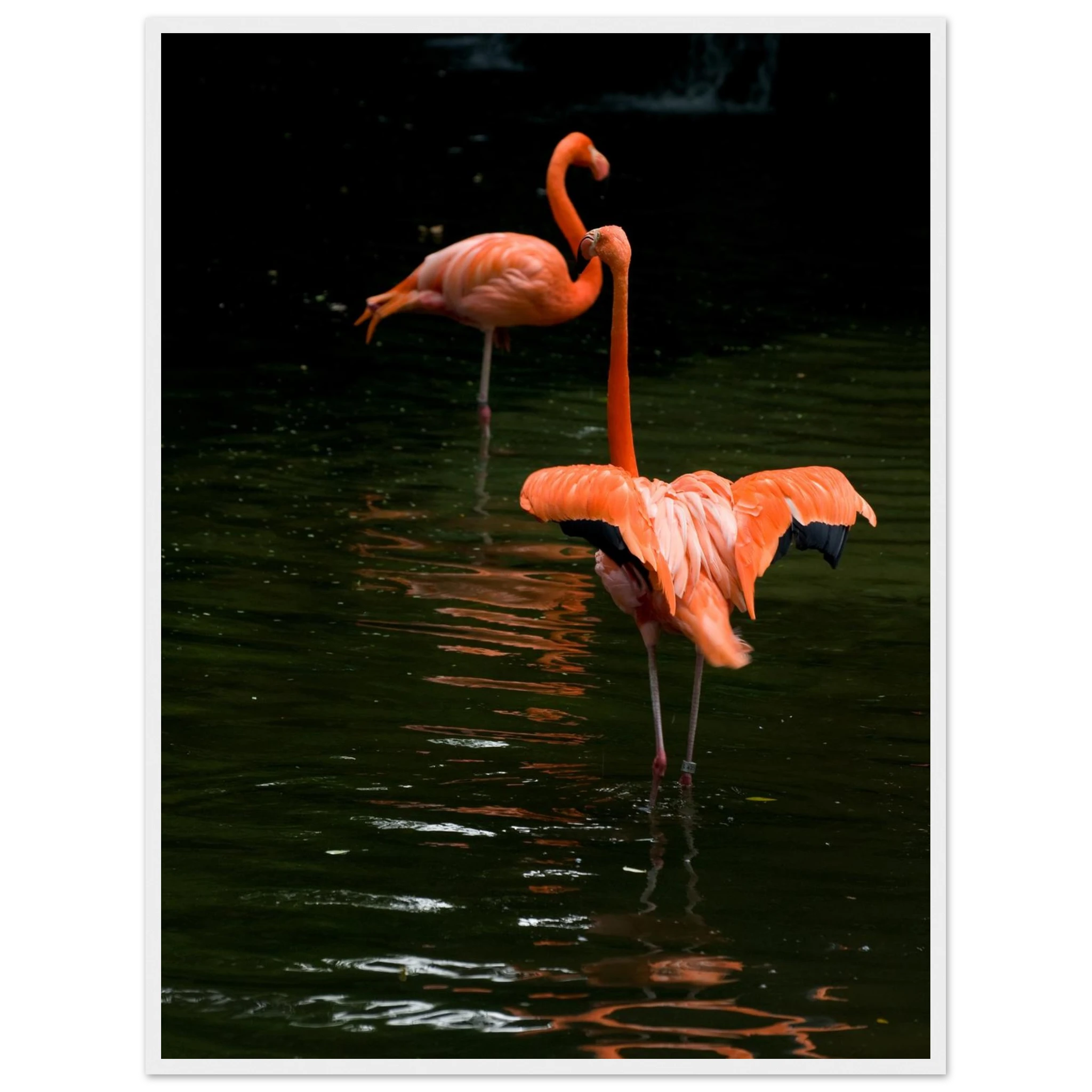 594e3132-74fb-466f-a5dc-8c8ce1fa6ed4