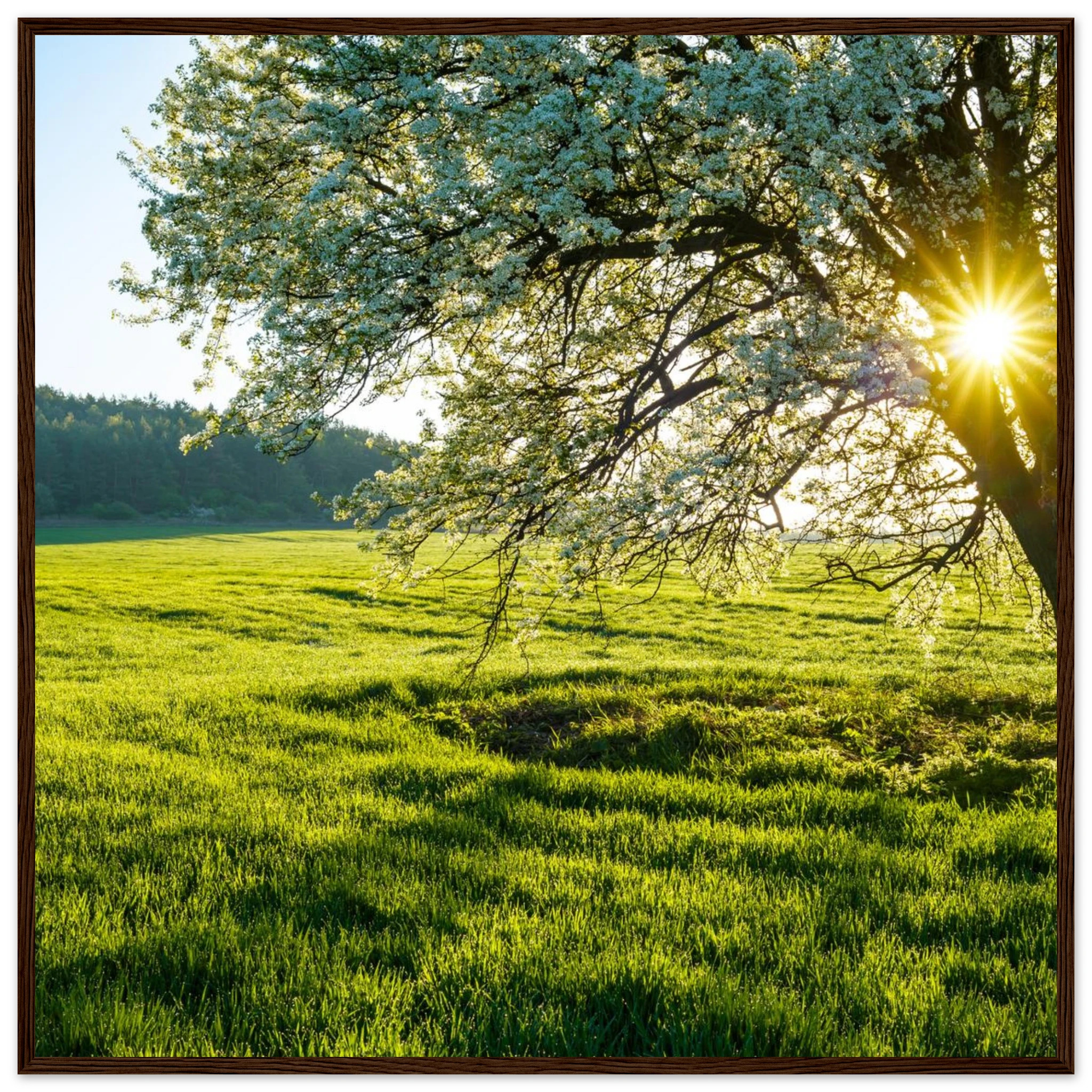 59593940-b8b8-47f1-a107-6e37a131efd8