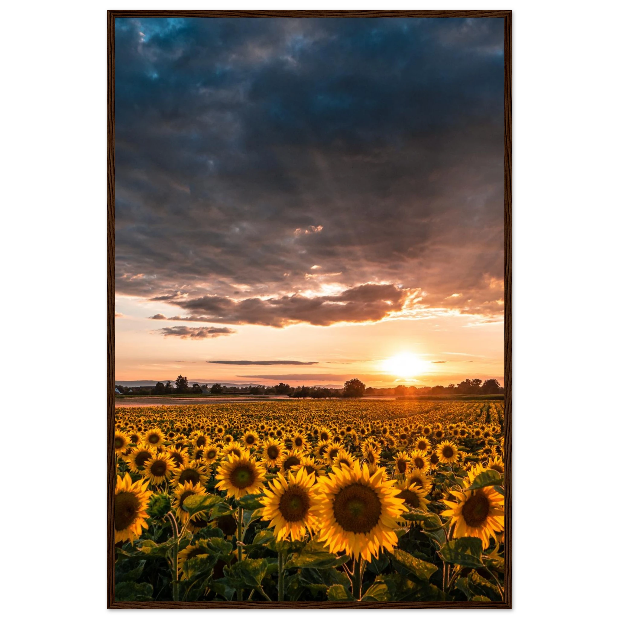 595da0f5-3e49-4fbe-bb41-15ee445f8cb9