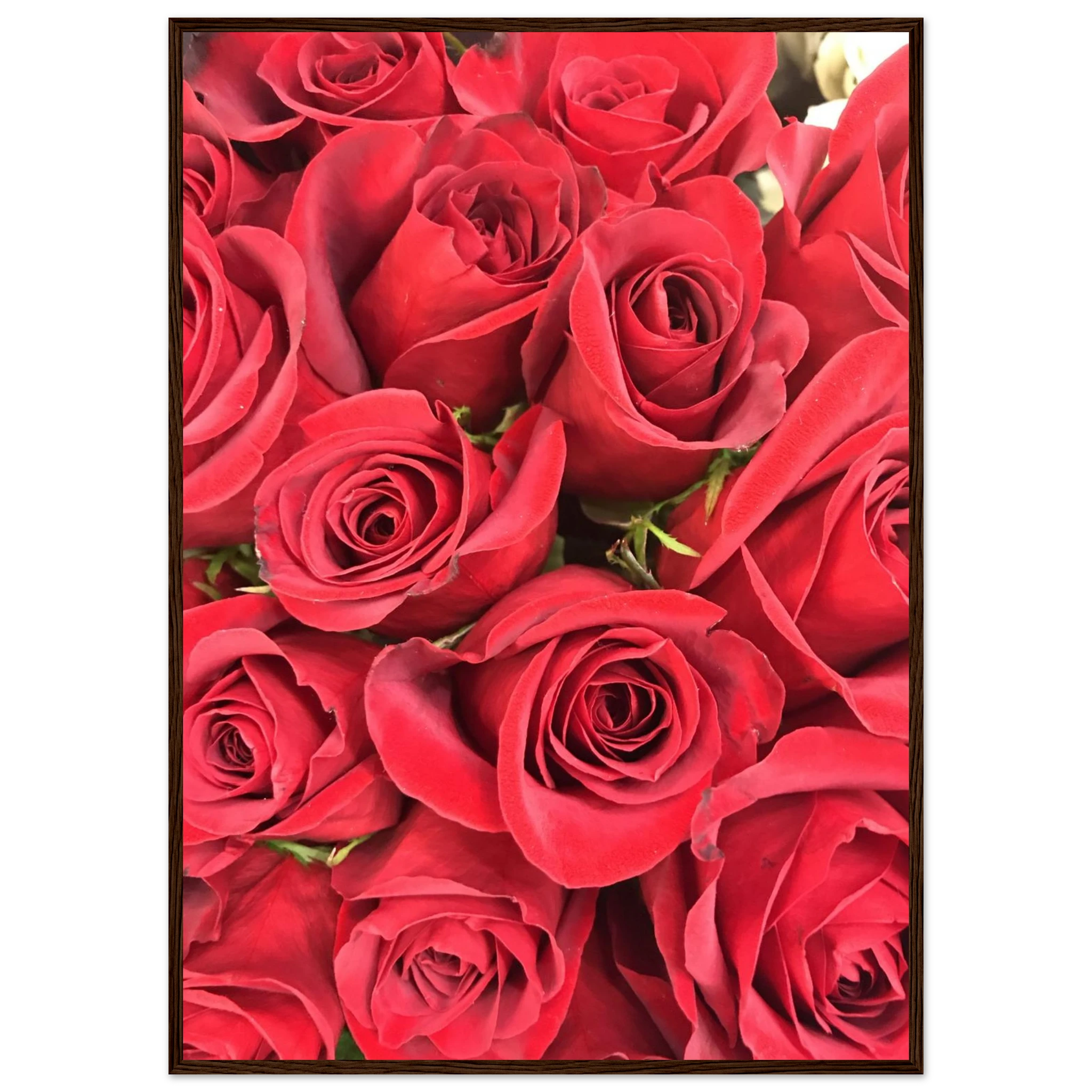 59783720-d89b-41a7-ba3c-76a1423689bb