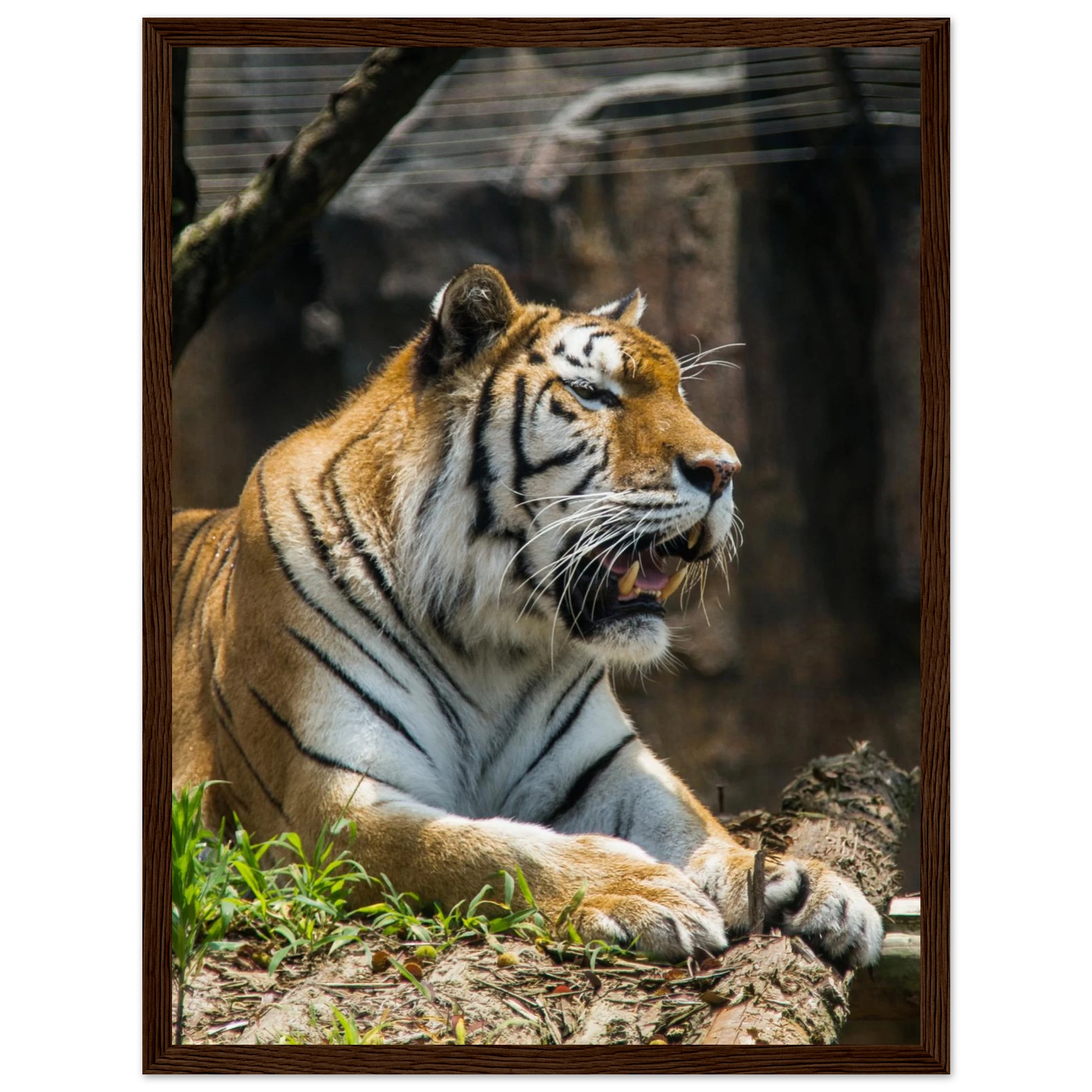 59892371-7f89-4013-a038-54ccd2ec9f5d