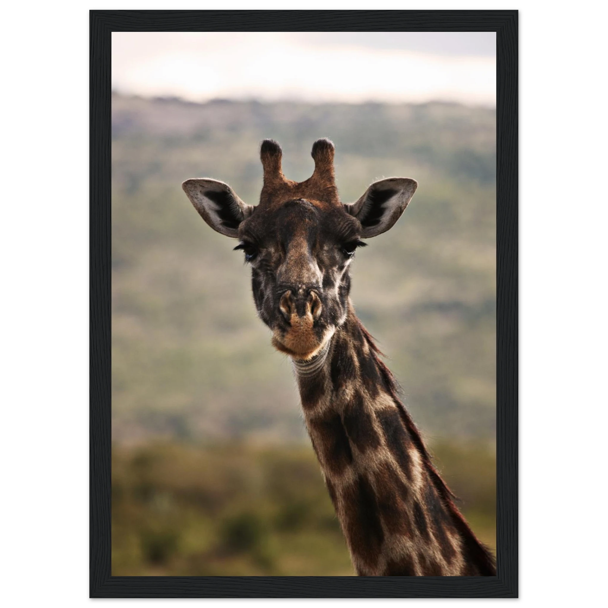 599d131e-119d-4240-abba-946ed8bcb57c