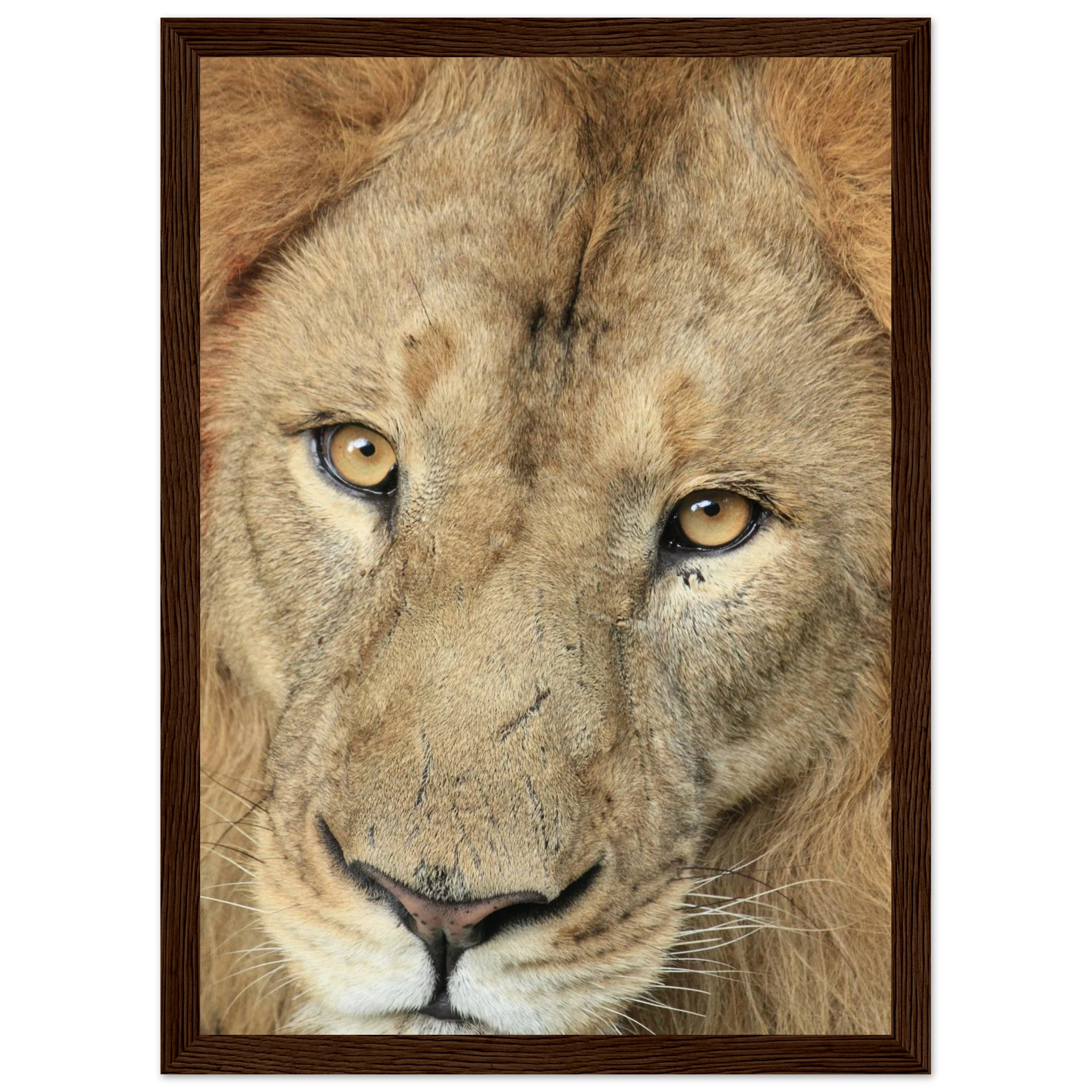 59ccab49-2412-43b0-8598-cb4753dcbaee