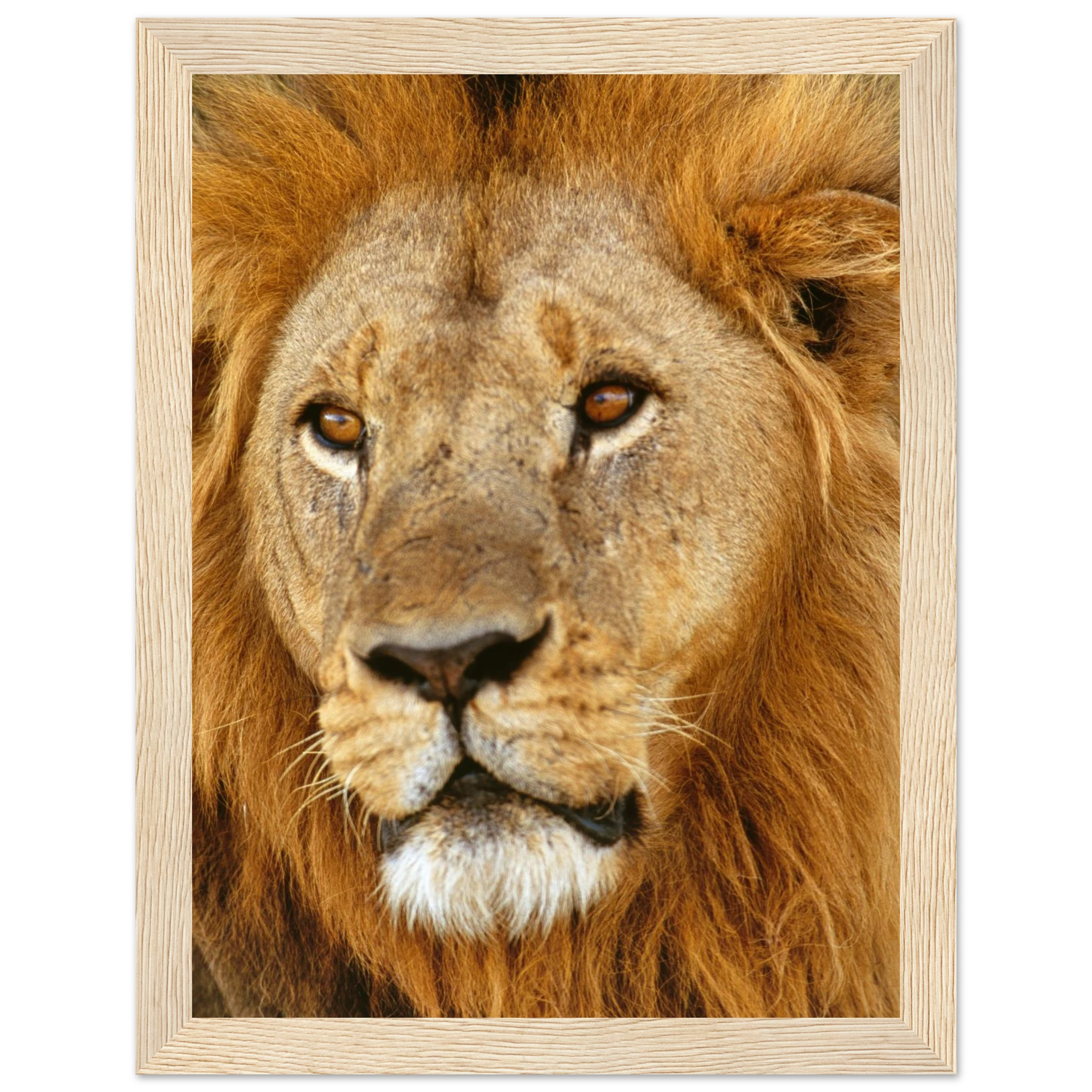 59d0f6f5-5d4e-45f1-987e-310336eaaf95