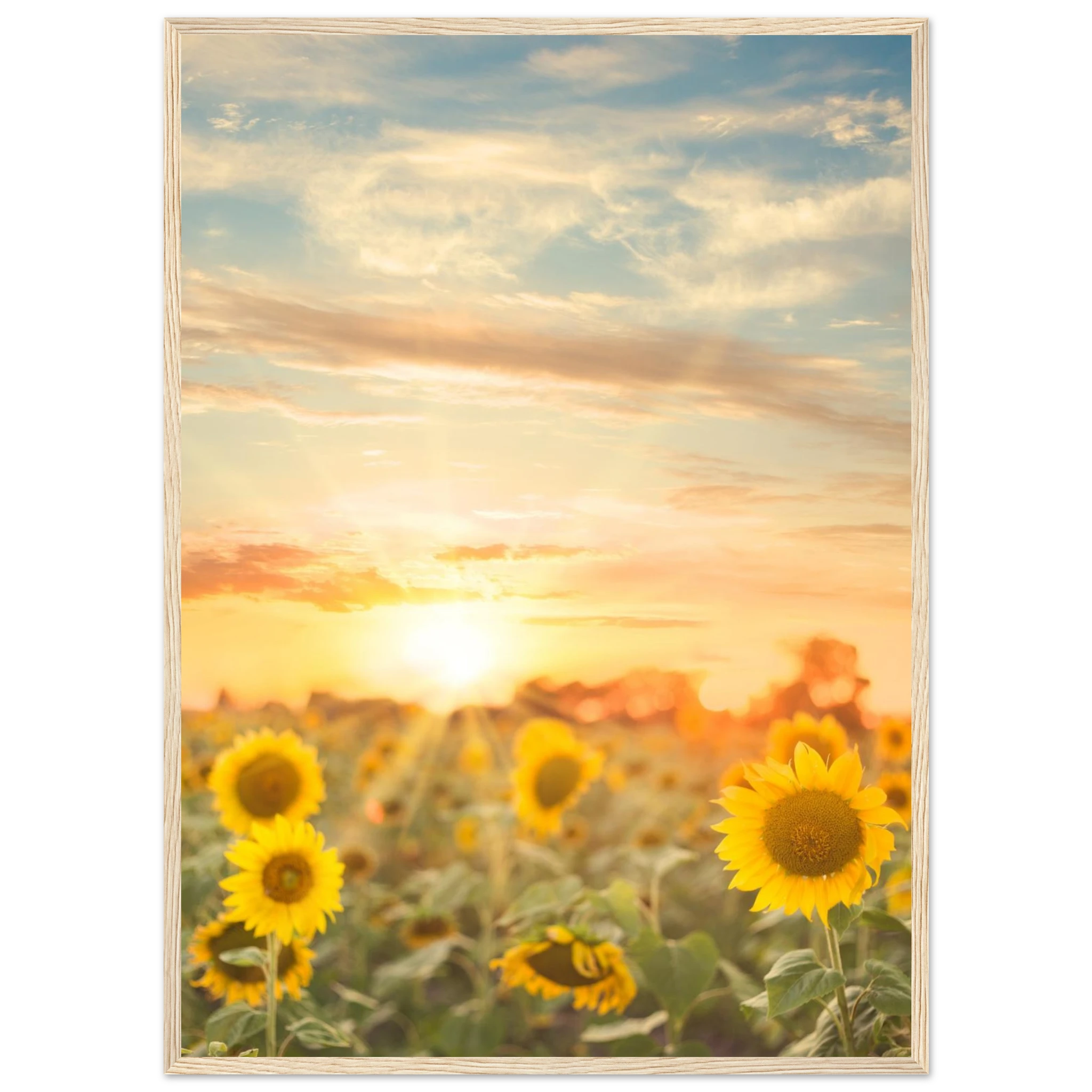 59d7e972-86ff-4b33-8c63-456cac064668