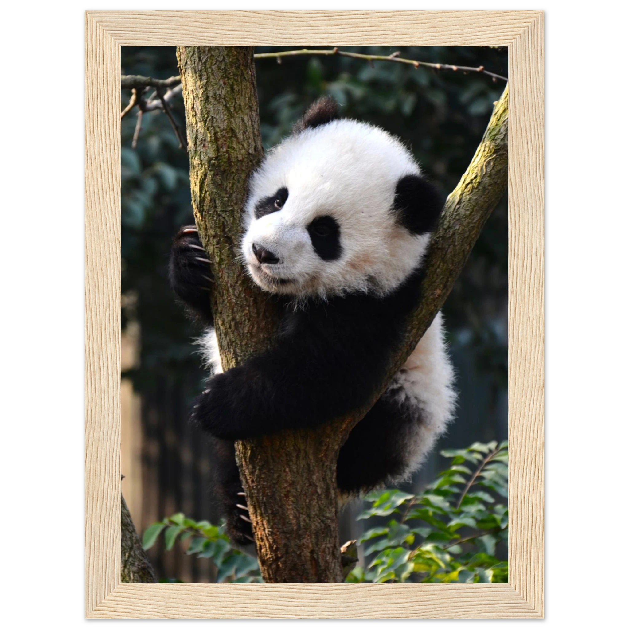 59e028b5-8b05-43a8-8bc3-09c403acc200