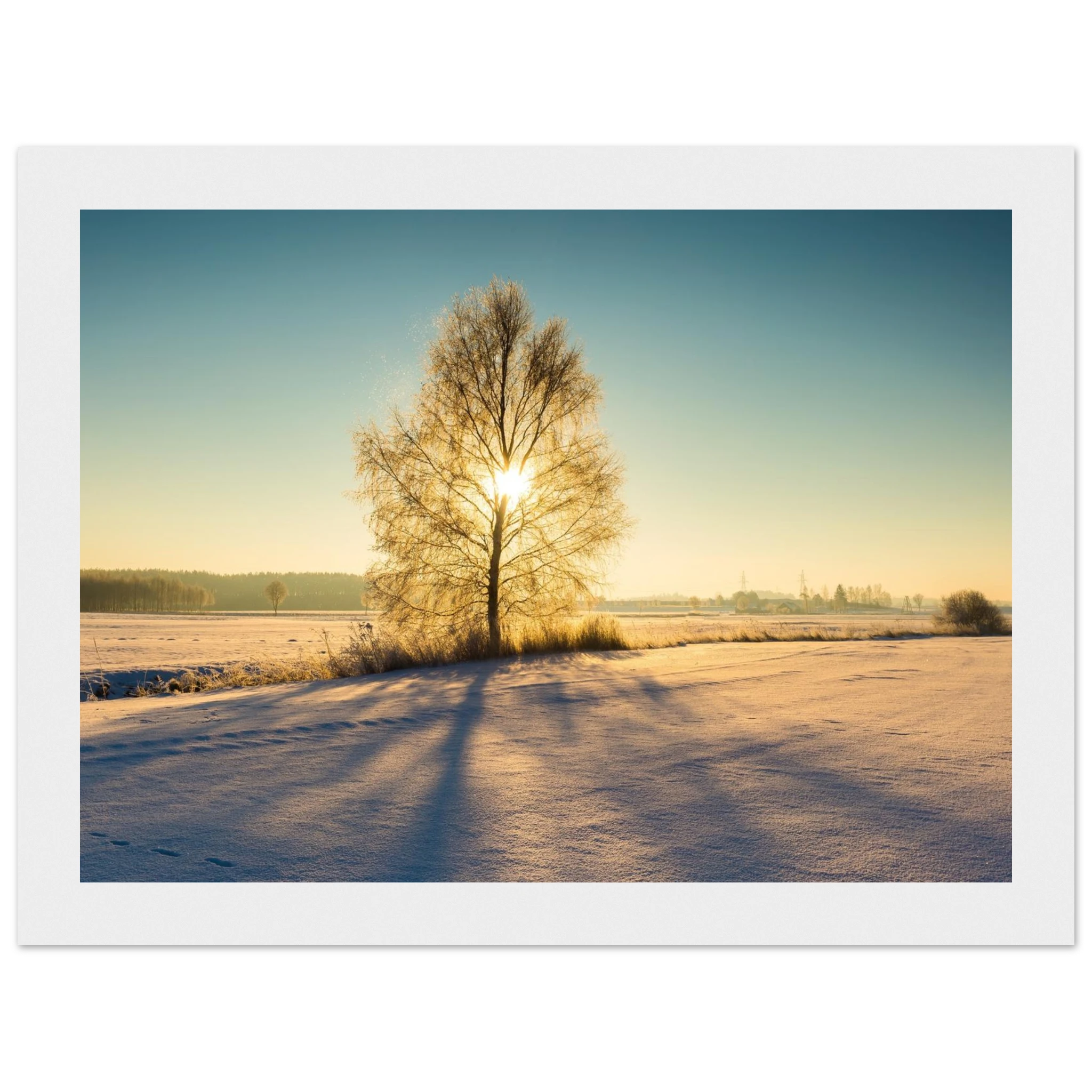 59e7462e-c481-4e24-9c7a-c0201de241b2