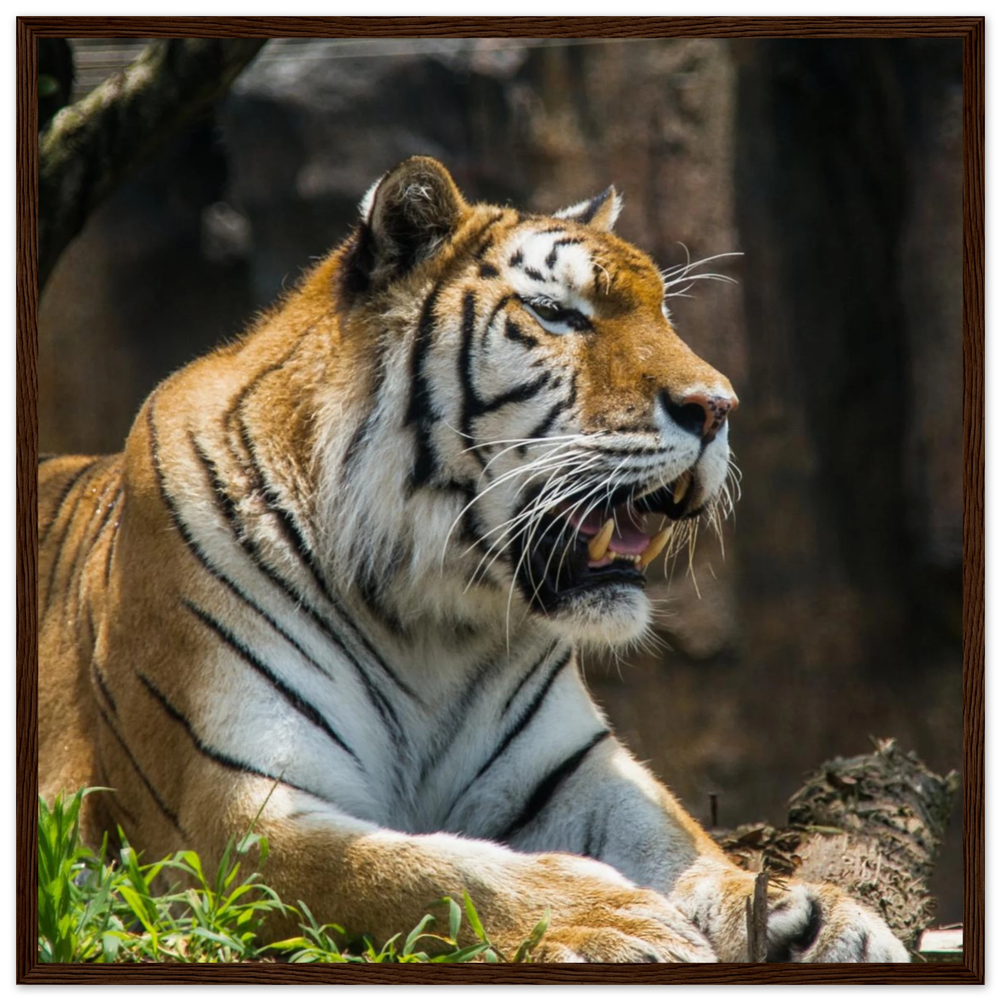 5a2bcaee-fb5f-4cde-98a7-b8060ada797d