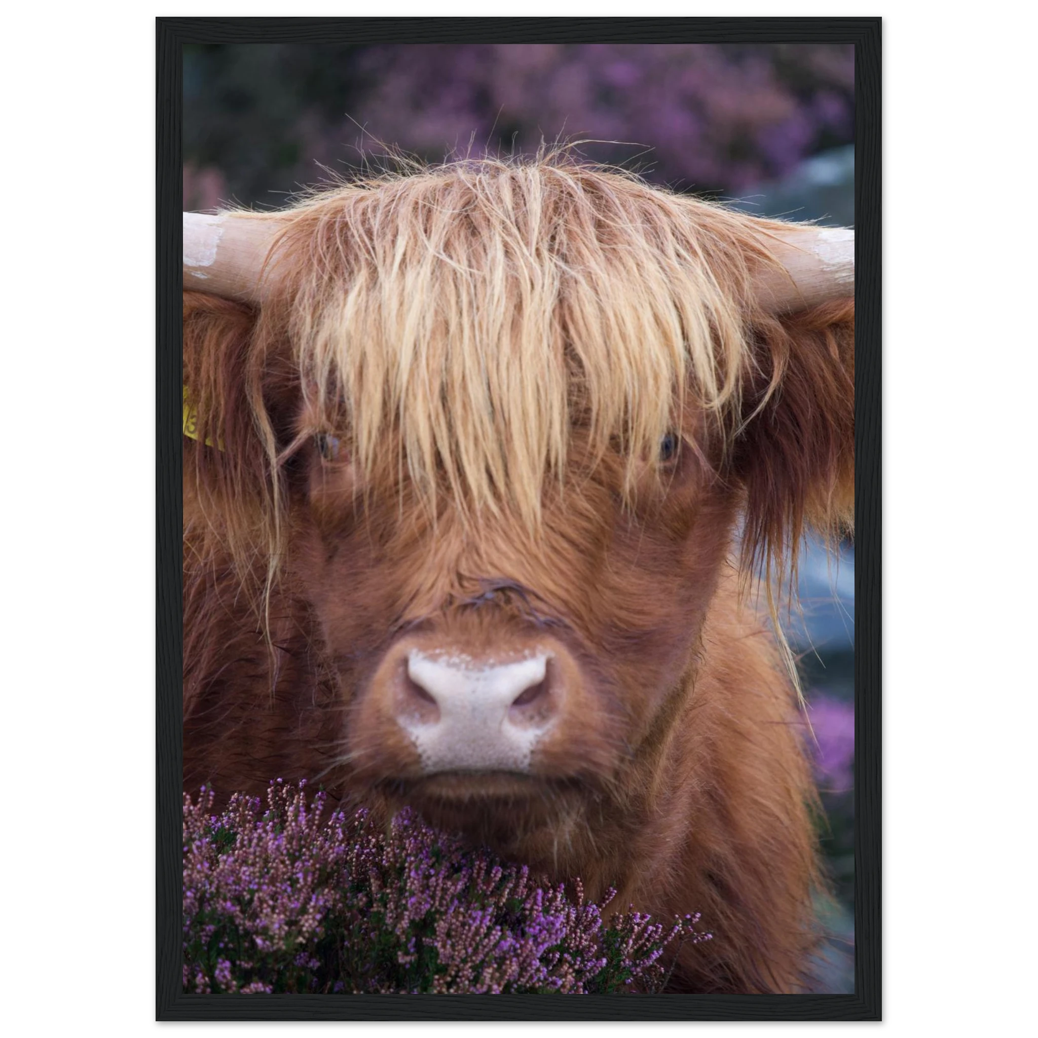 5a3feff9-b5aa-4123-b762-85e8be847254