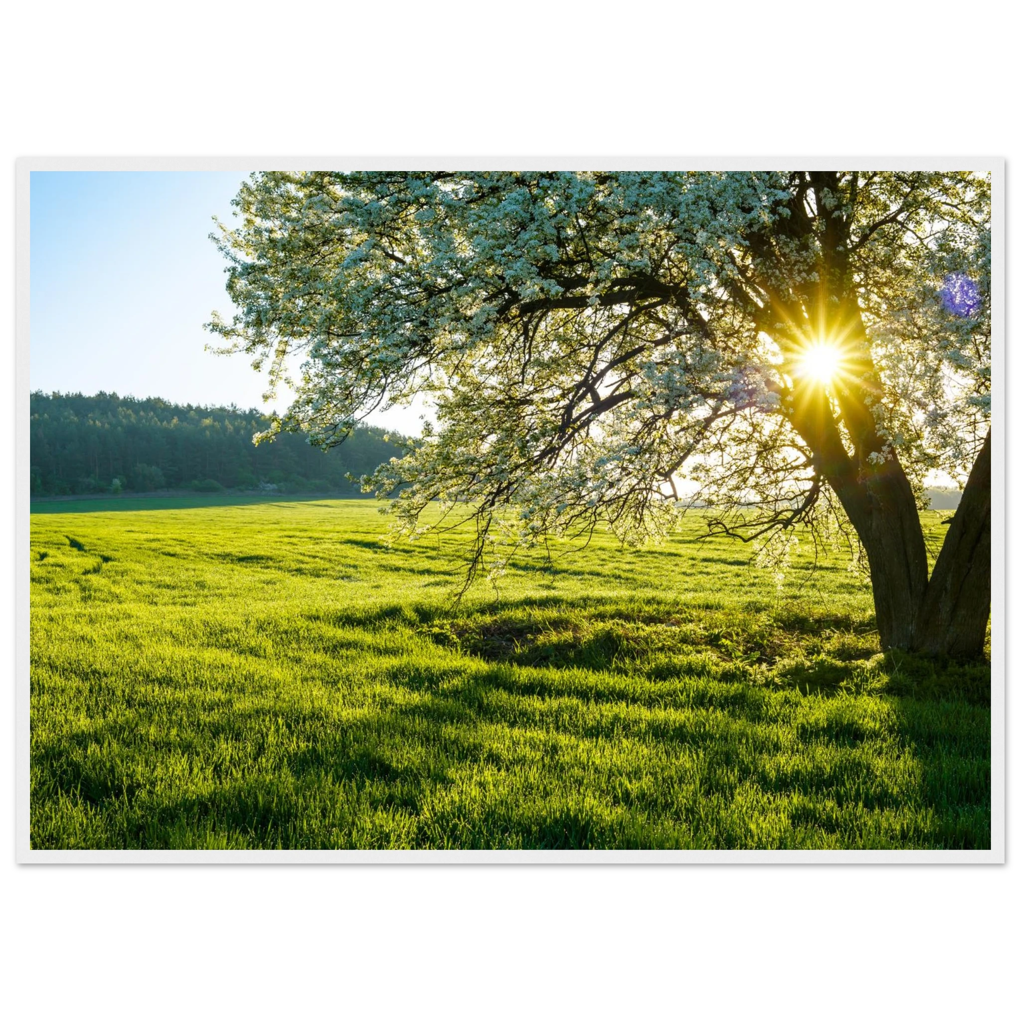 5a6f97ba-a17f-40d4-990b-37ed00f643c0