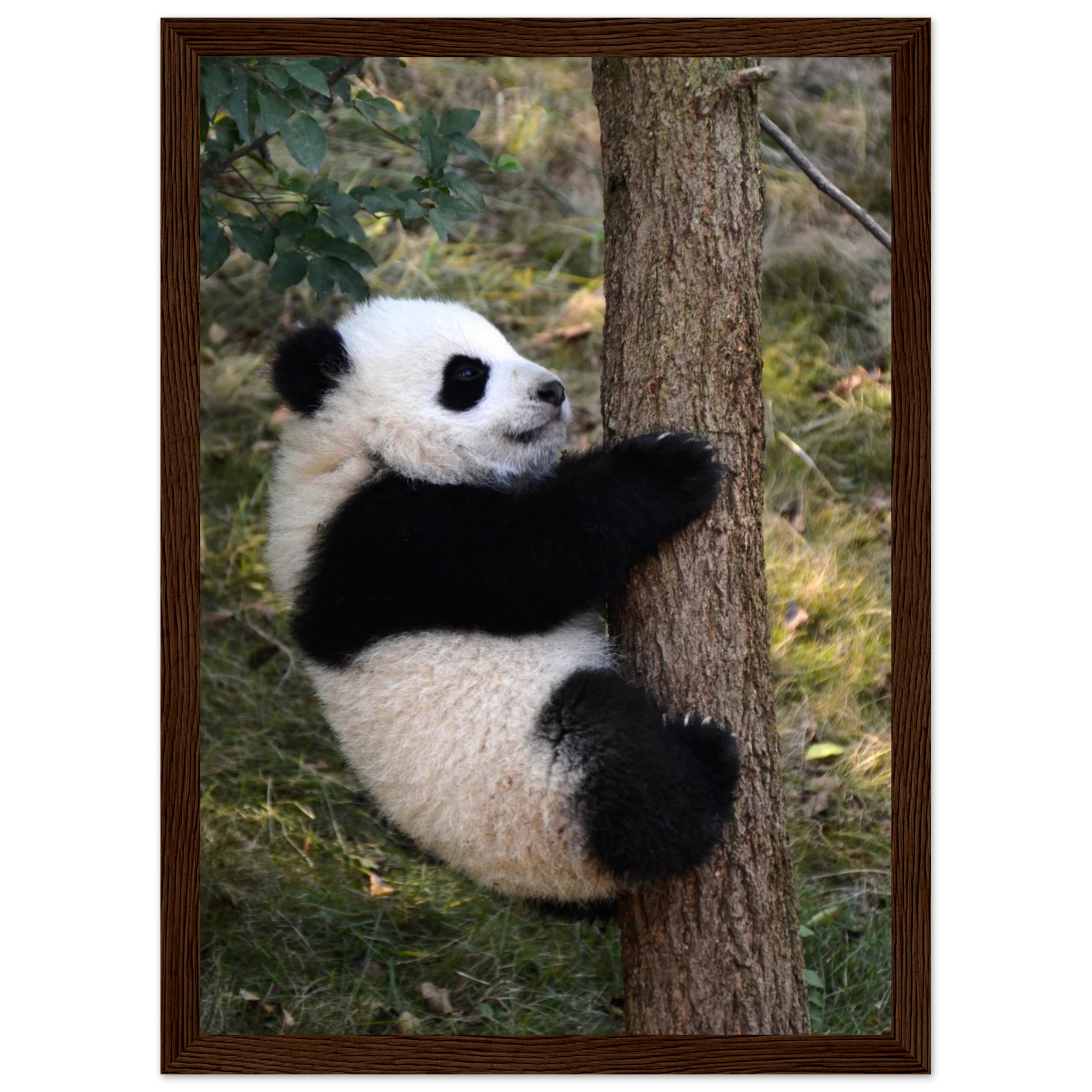 5a7ac2ba-3410-4e76-a033-01a77c1367f4