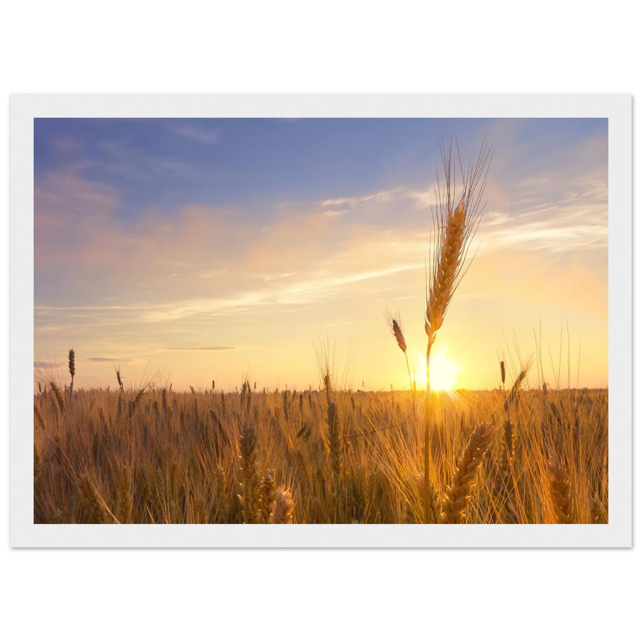 5a953f43-ad3a-45c5-90d5-3f97e929b41d