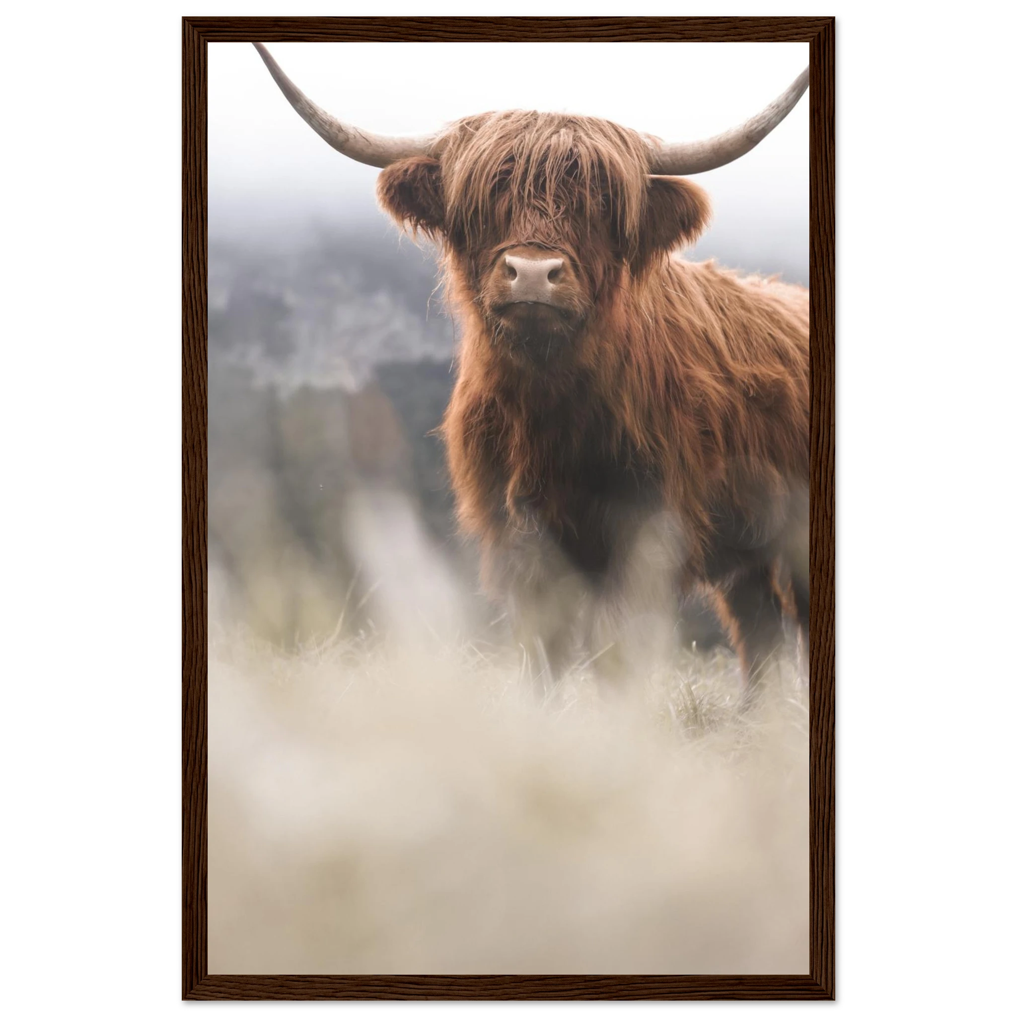 5aa62a97-41c9-433d-8ace-2fd17e7b1d37