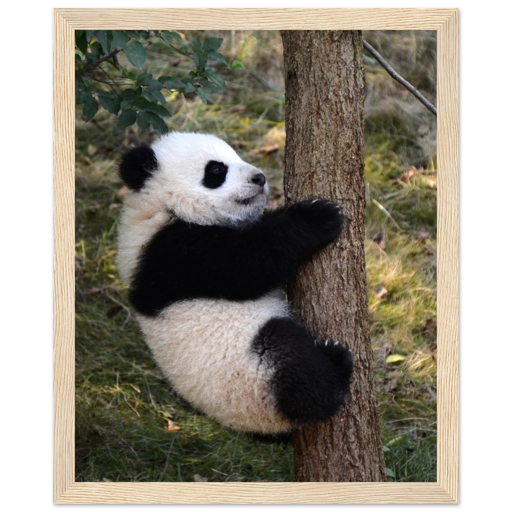 5abd194c-83b3-4dc2-974a-df2375d33de1