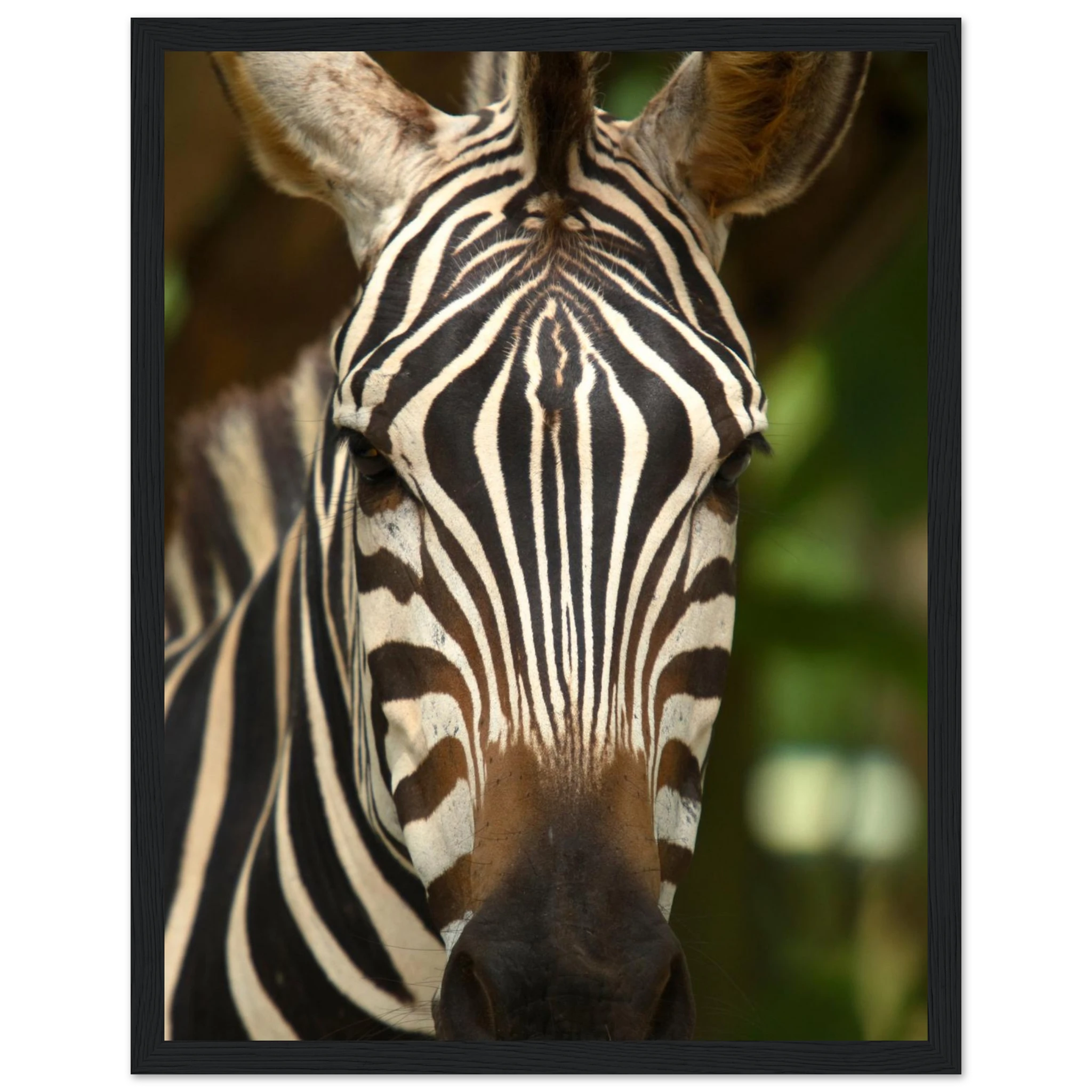 5acdf49b-8a95-468a-b921-924e3be603ed