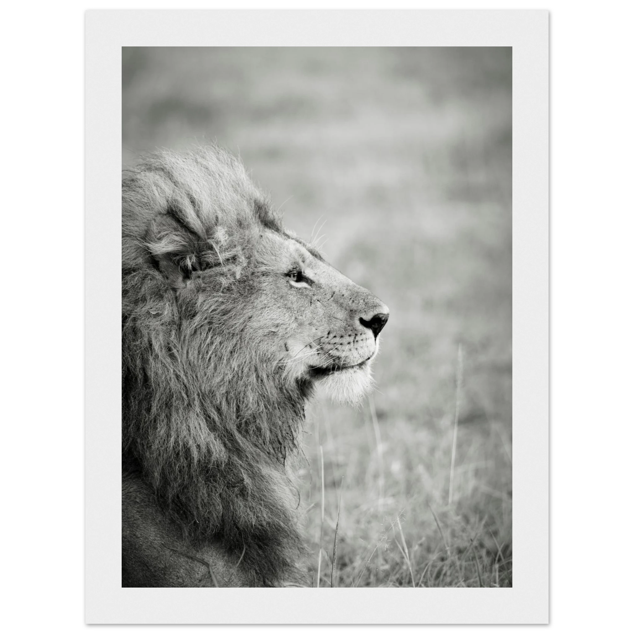 5acf58f0-4cfe-49f1-a6e6-b0792114c55a