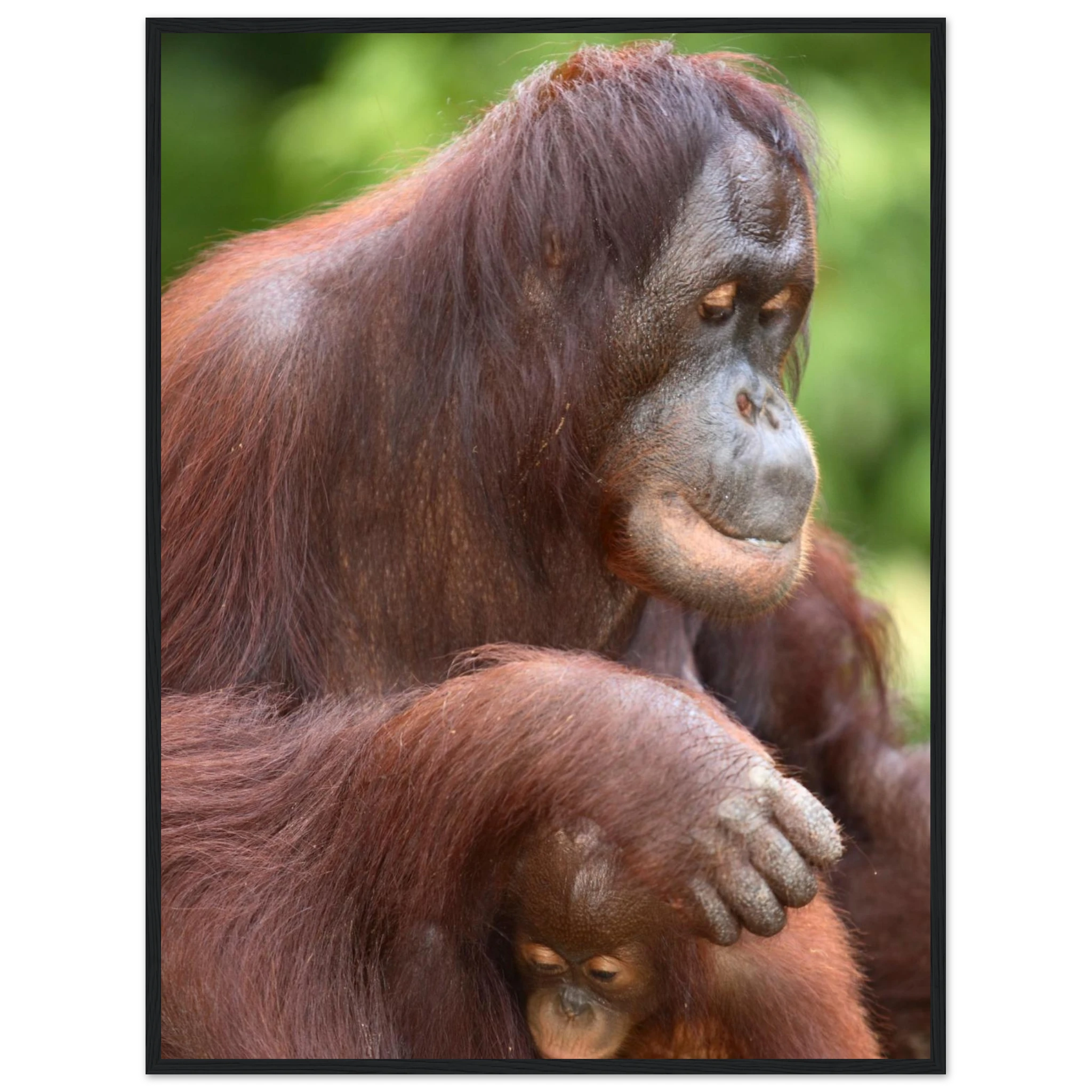 5ad3fbaa-6d18-4c74-ab8e-f909553fcac7