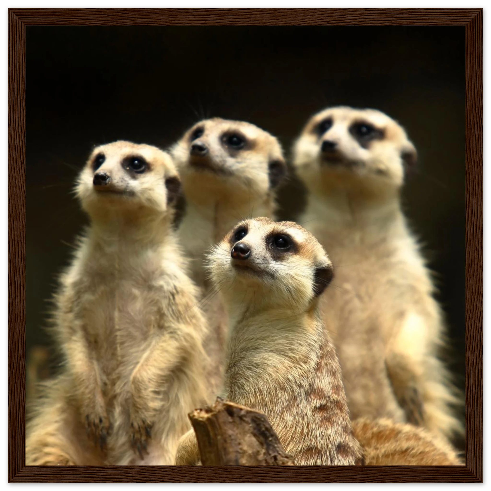 5aed071b-3c80-41ad-b543-782f5d7e4b1a