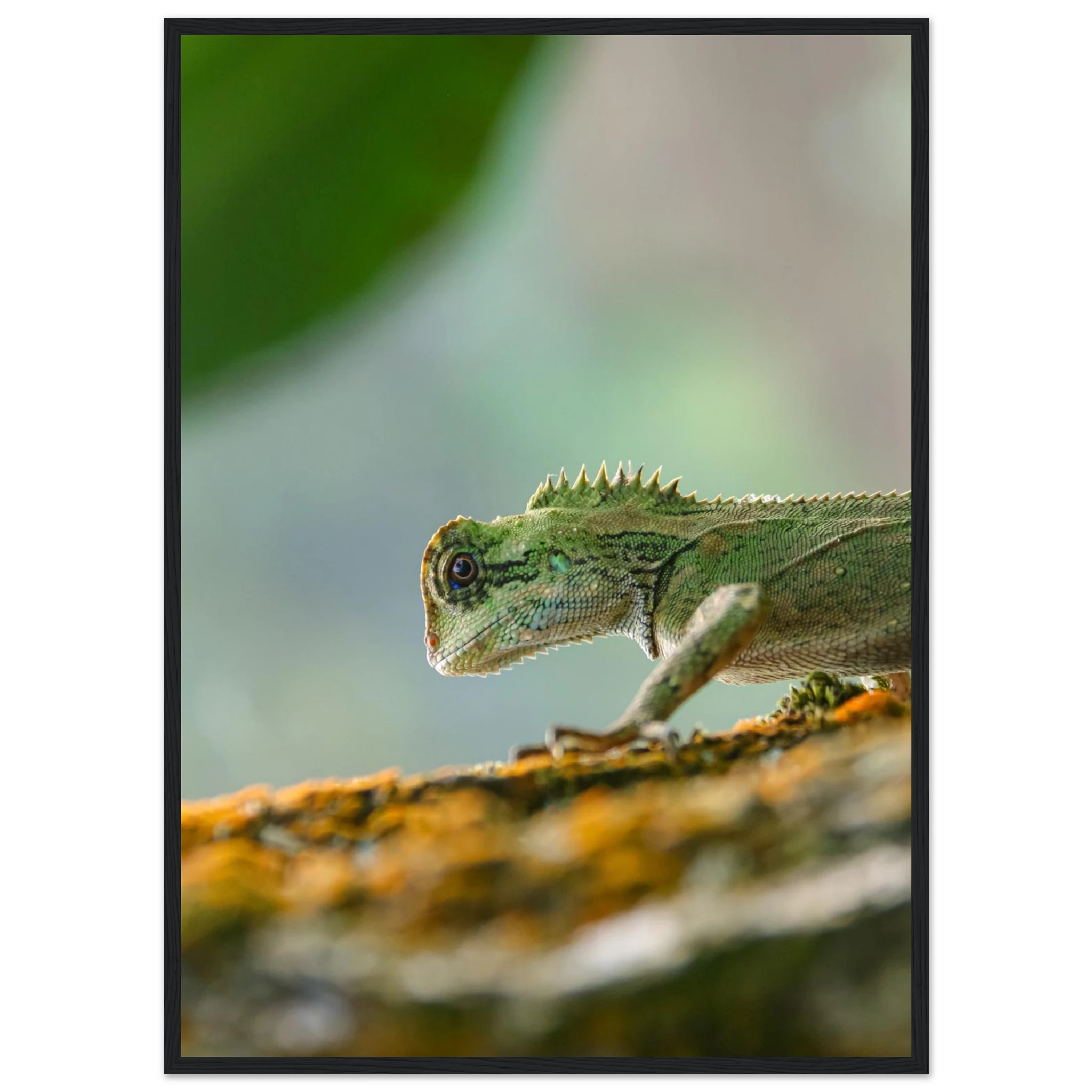 5b0e5e43-fe41-417f-9781-a18938559b50