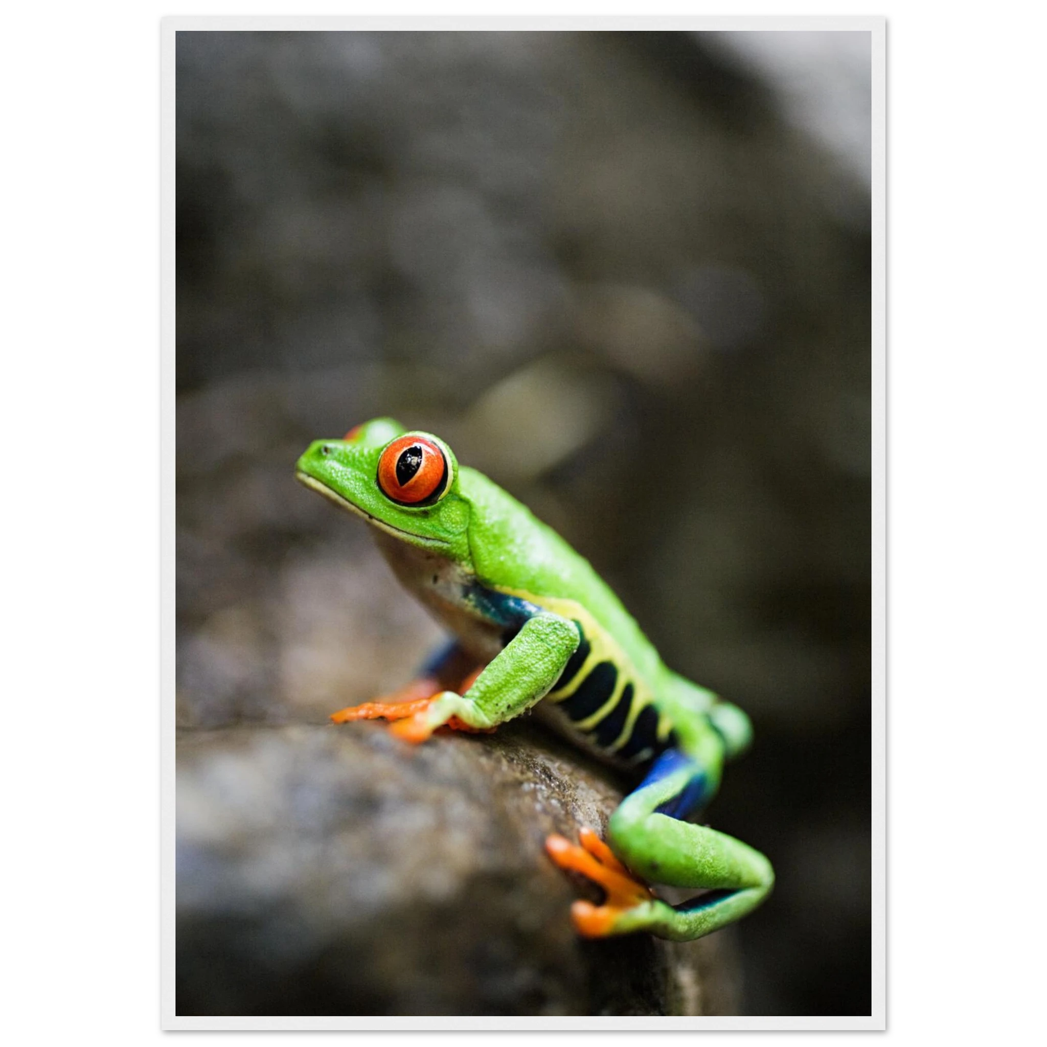 5b289554-0944-472b-a545-b56cb06aa400