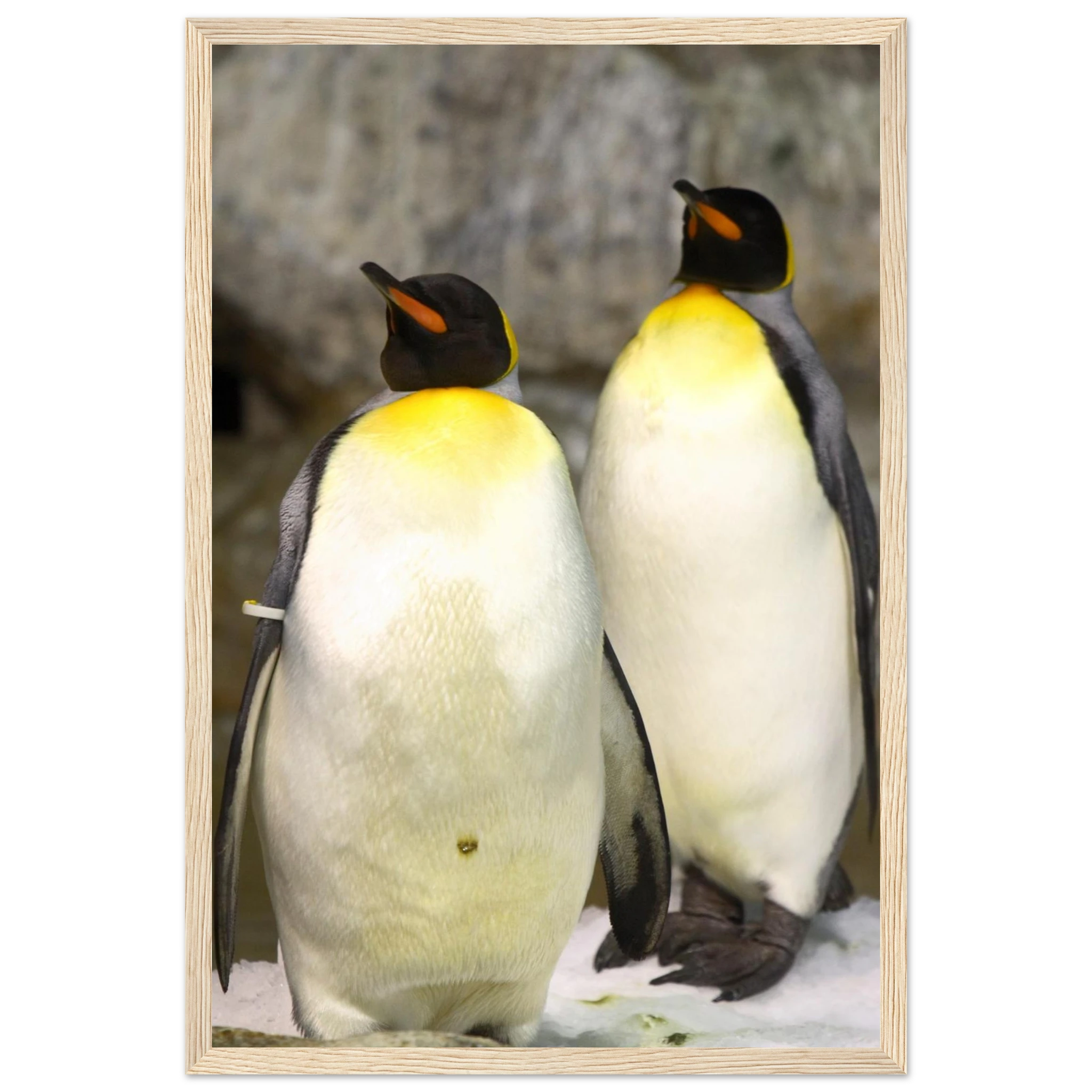 5b3ebcab-6a7f-45f1-ba72-8e4ffc99fa10