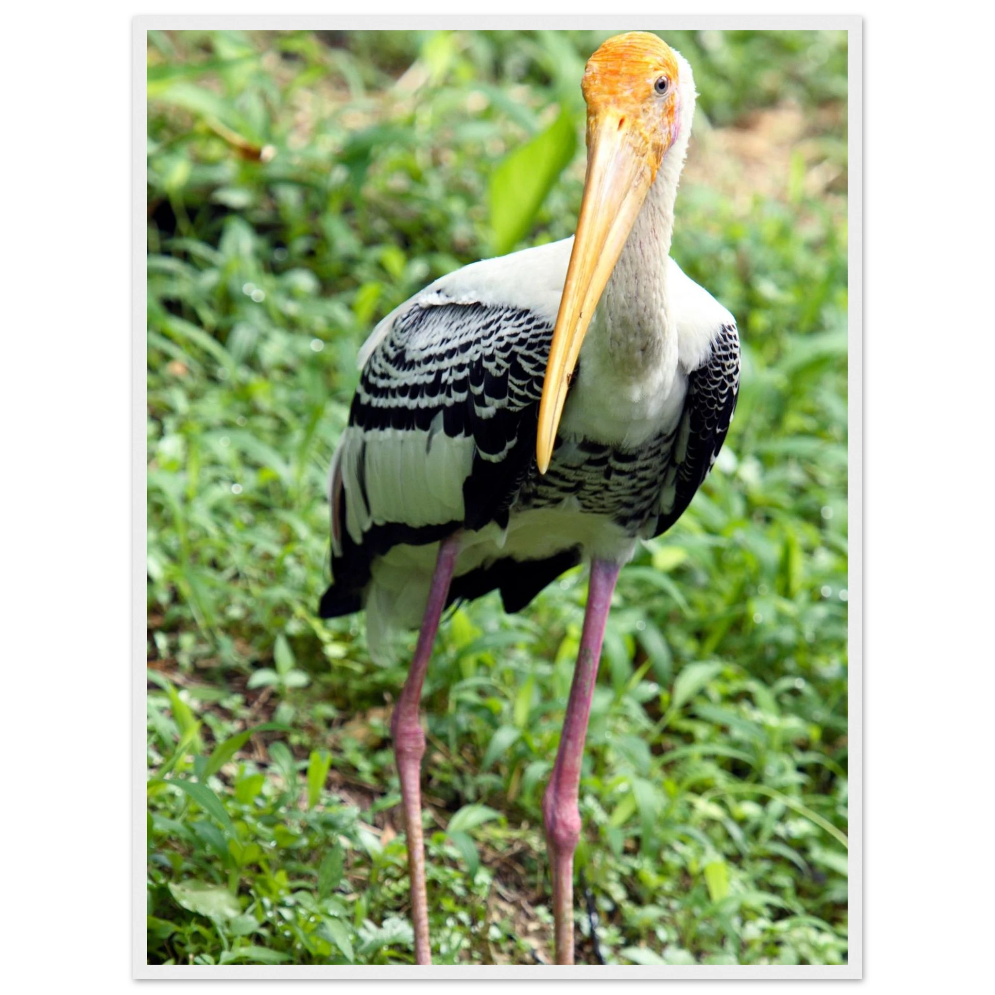 5b61daf9-9b41-46d0-b425-bca2b1b82335