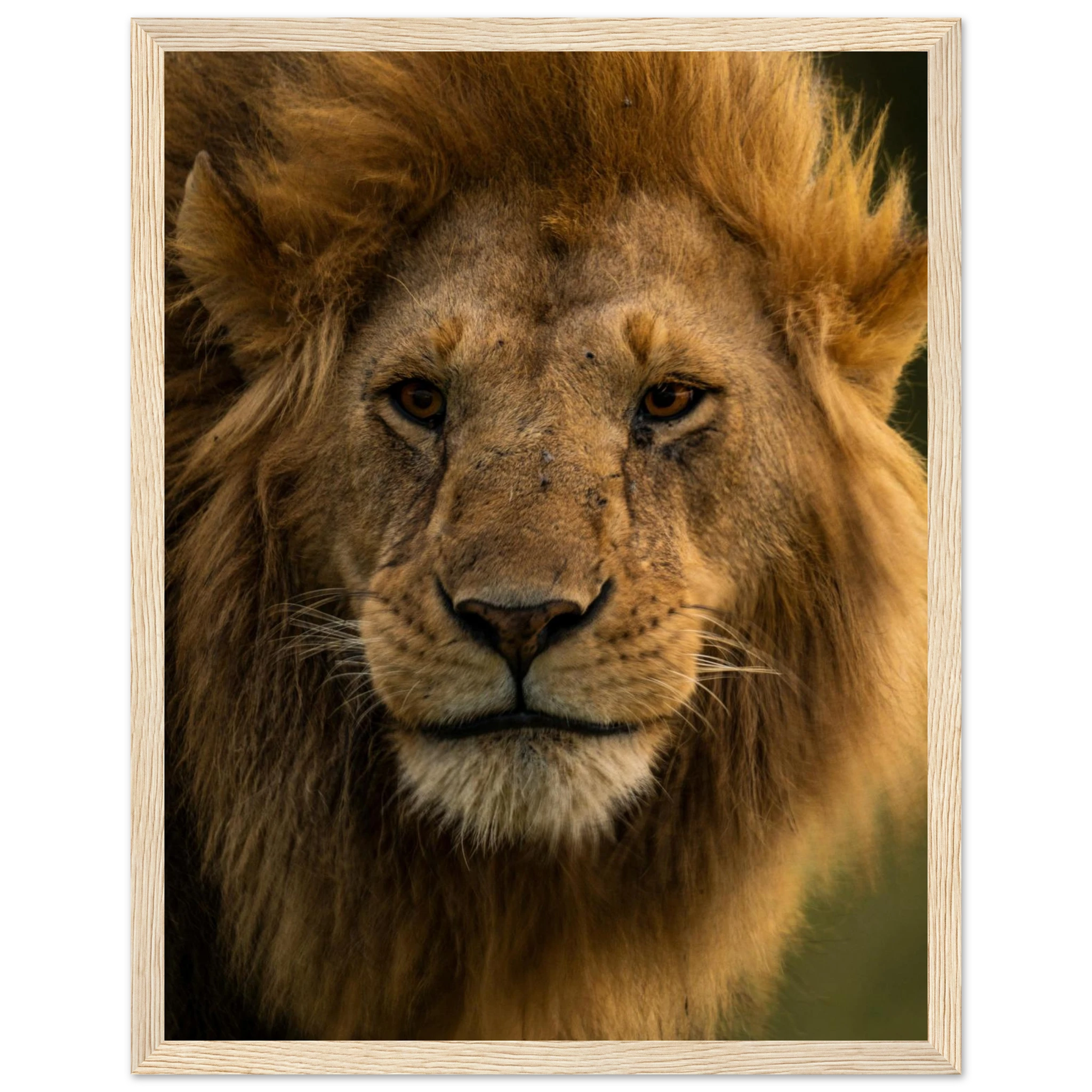 5b6d2f14-92fb-441a-b4b7-d235eaccbda3