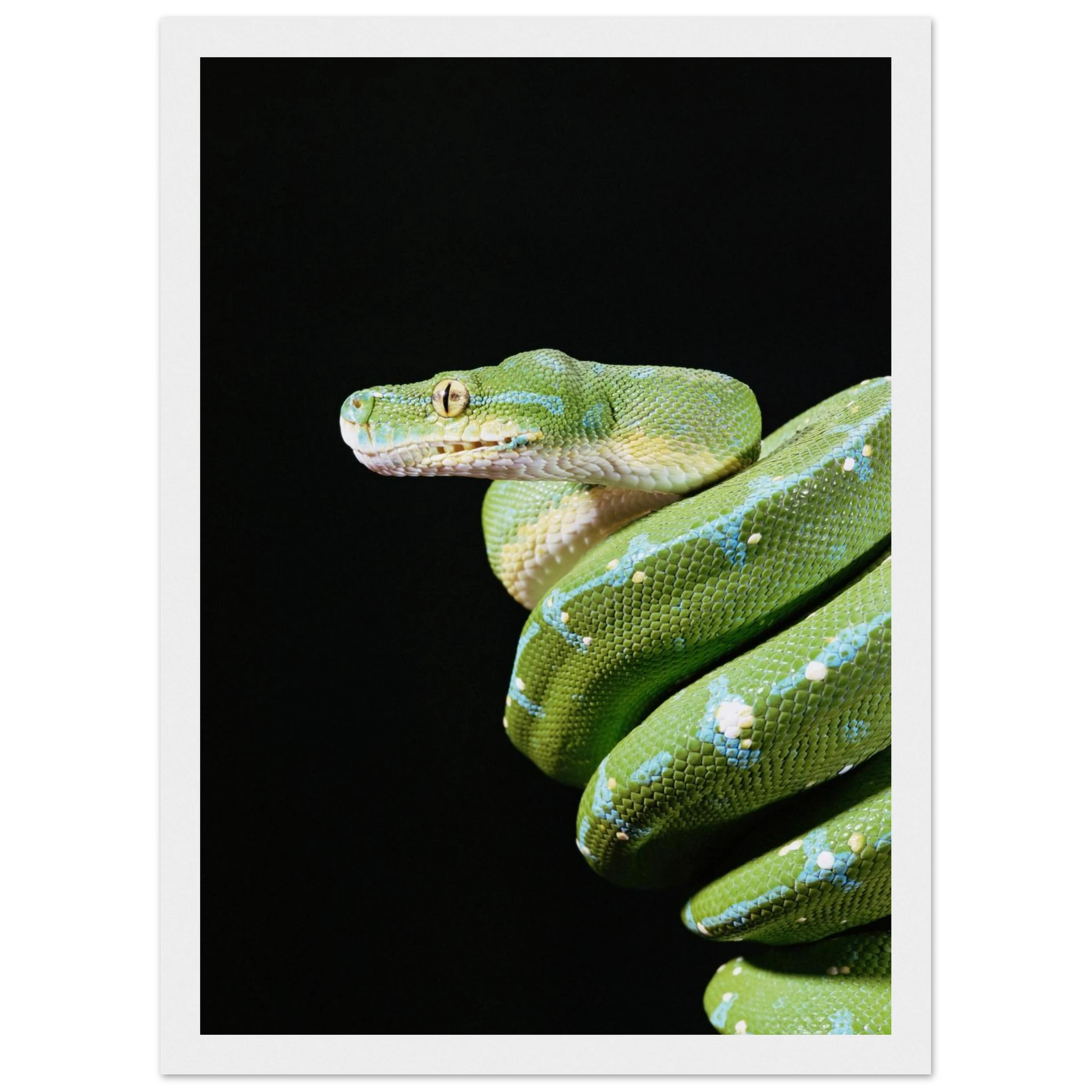 5b9aa4d0-781b-4b03-b1da-6047e44cf04e