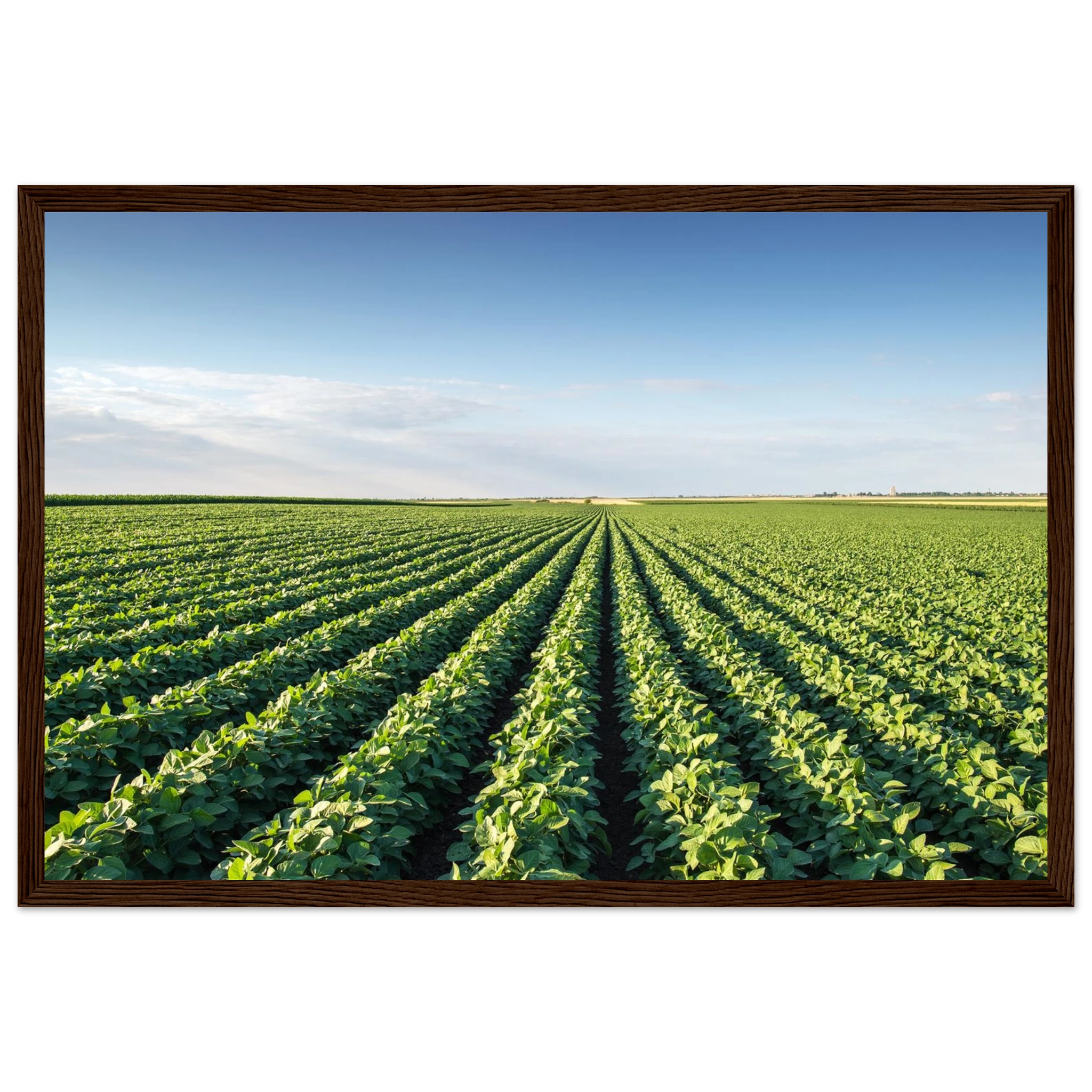 5baec2c1-961c-4562-b4c3-8753f3688bd9