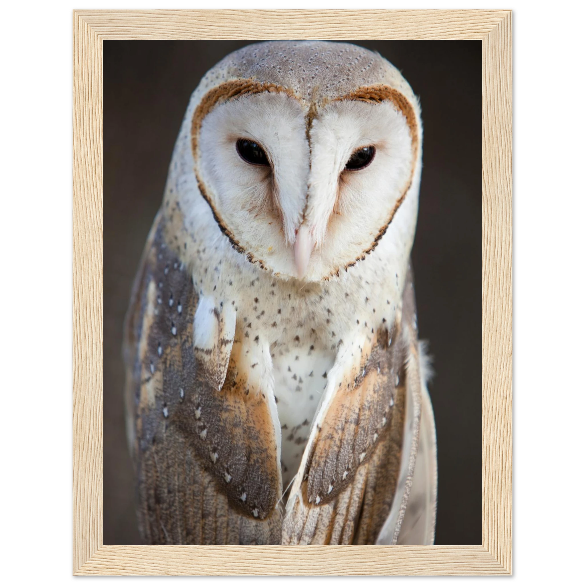 5be53865-253b-4c48-a5da-1cea27061472