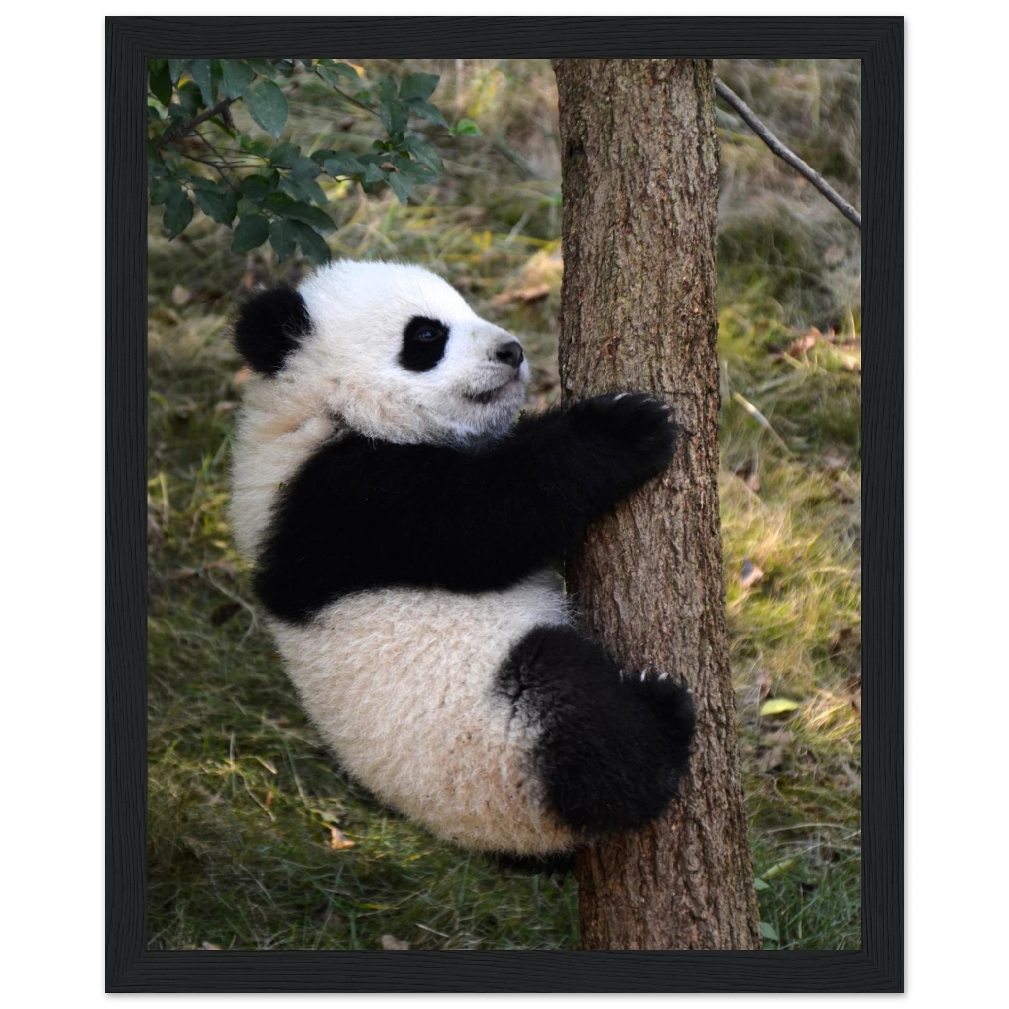 5c125058-4bdb-4e2c-a325-49451e1dcb75