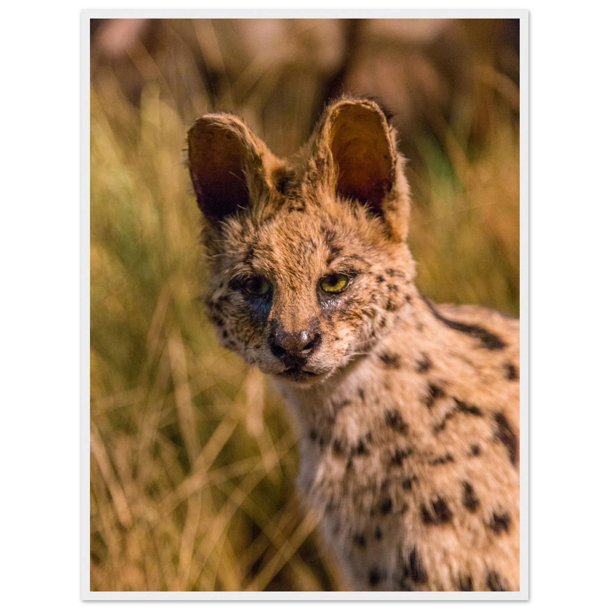 5c2b74f9-e5fd-484d-af8d-9ac575839714