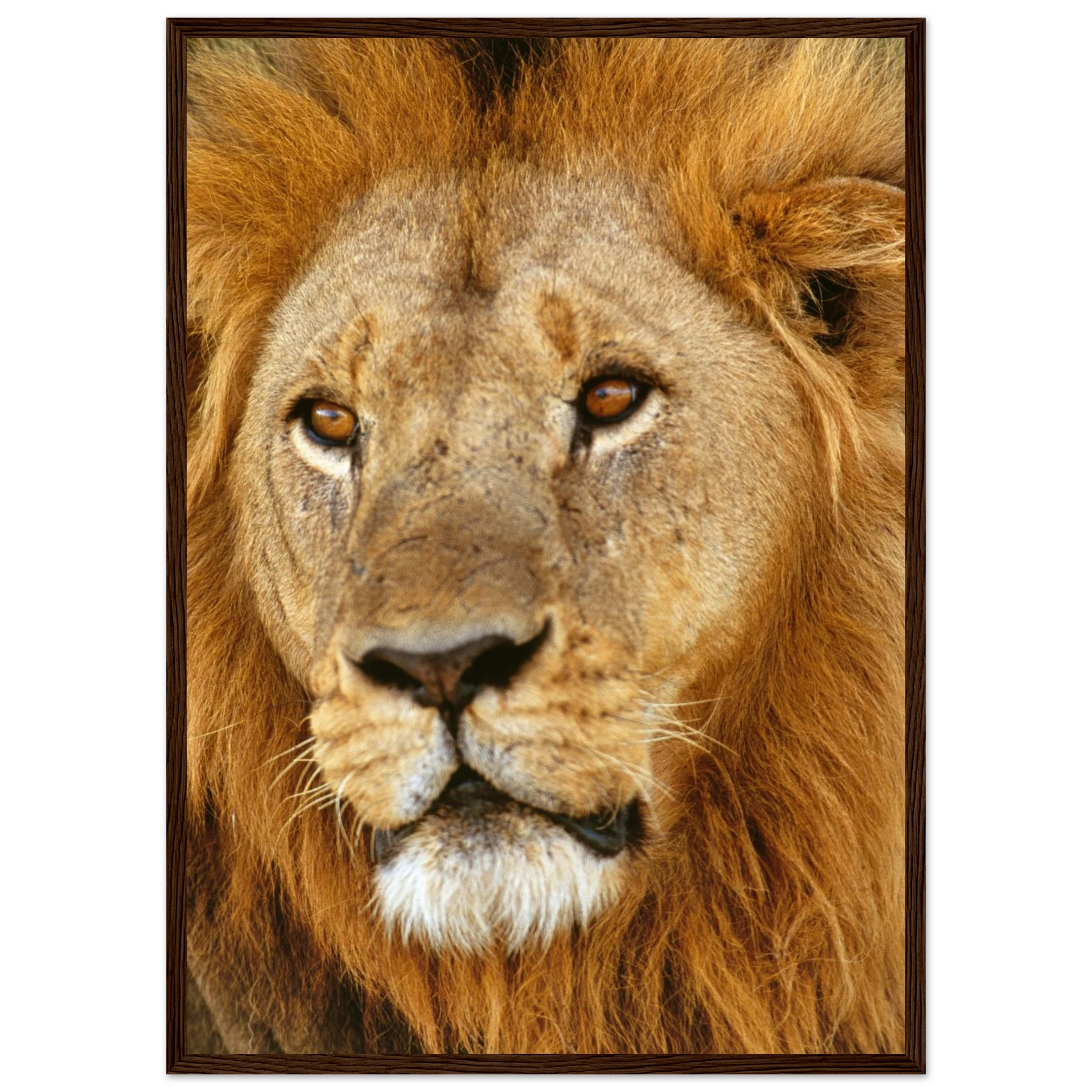 5c31c05b-e6d7-4cff-8384-a7598d1800e2