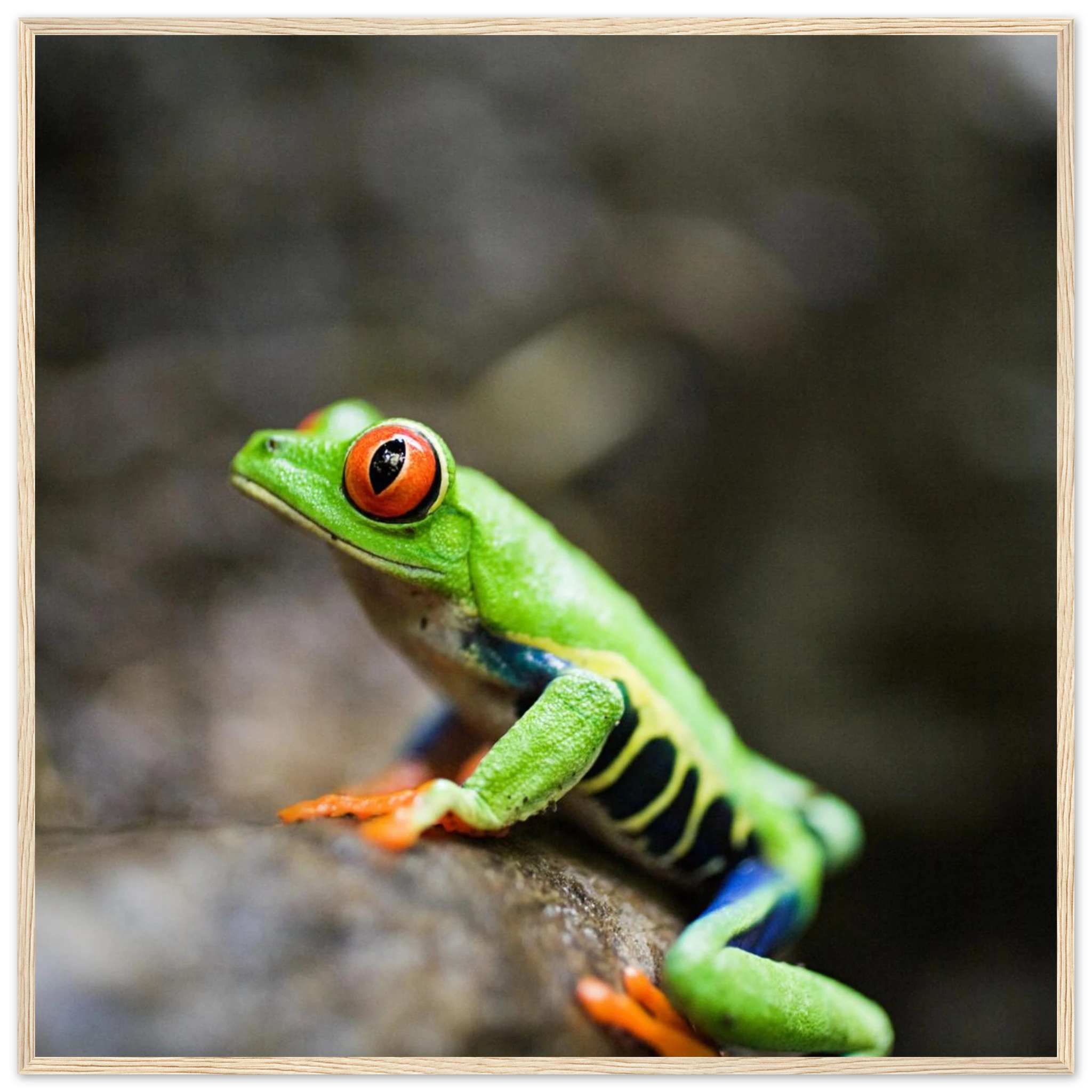 5c321582-35da-421a-93bc-ad7ddfdd925c