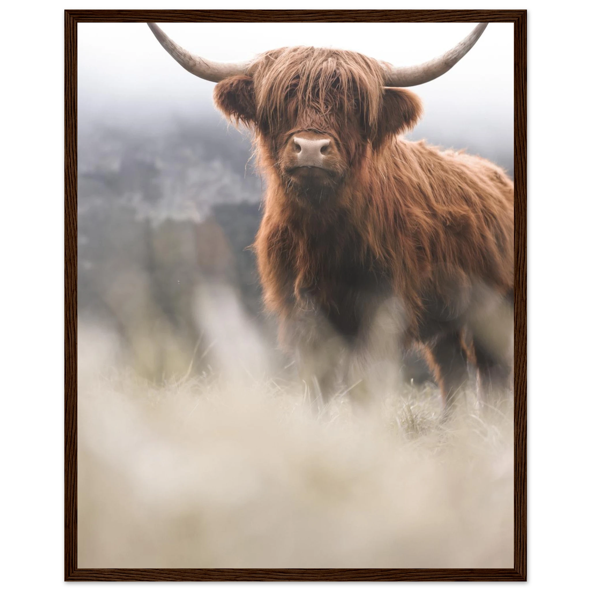 5c4f2294-df4c-4d19-9cd9-44640811cb63