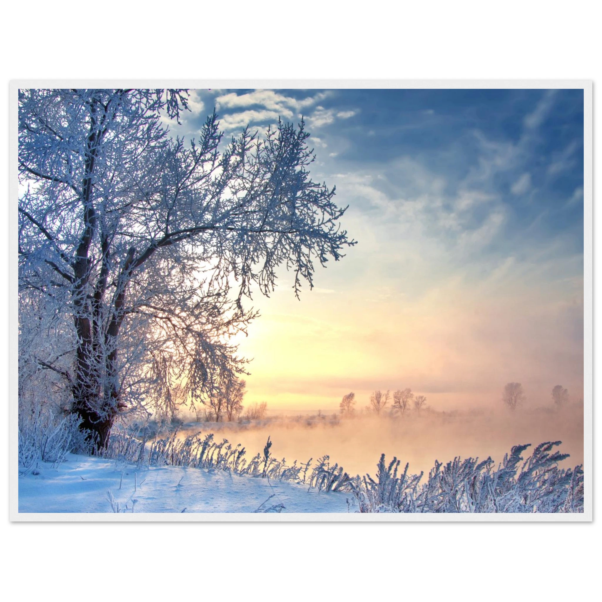 5c5d6e09-3034-42de-8401-3b1977dab85c