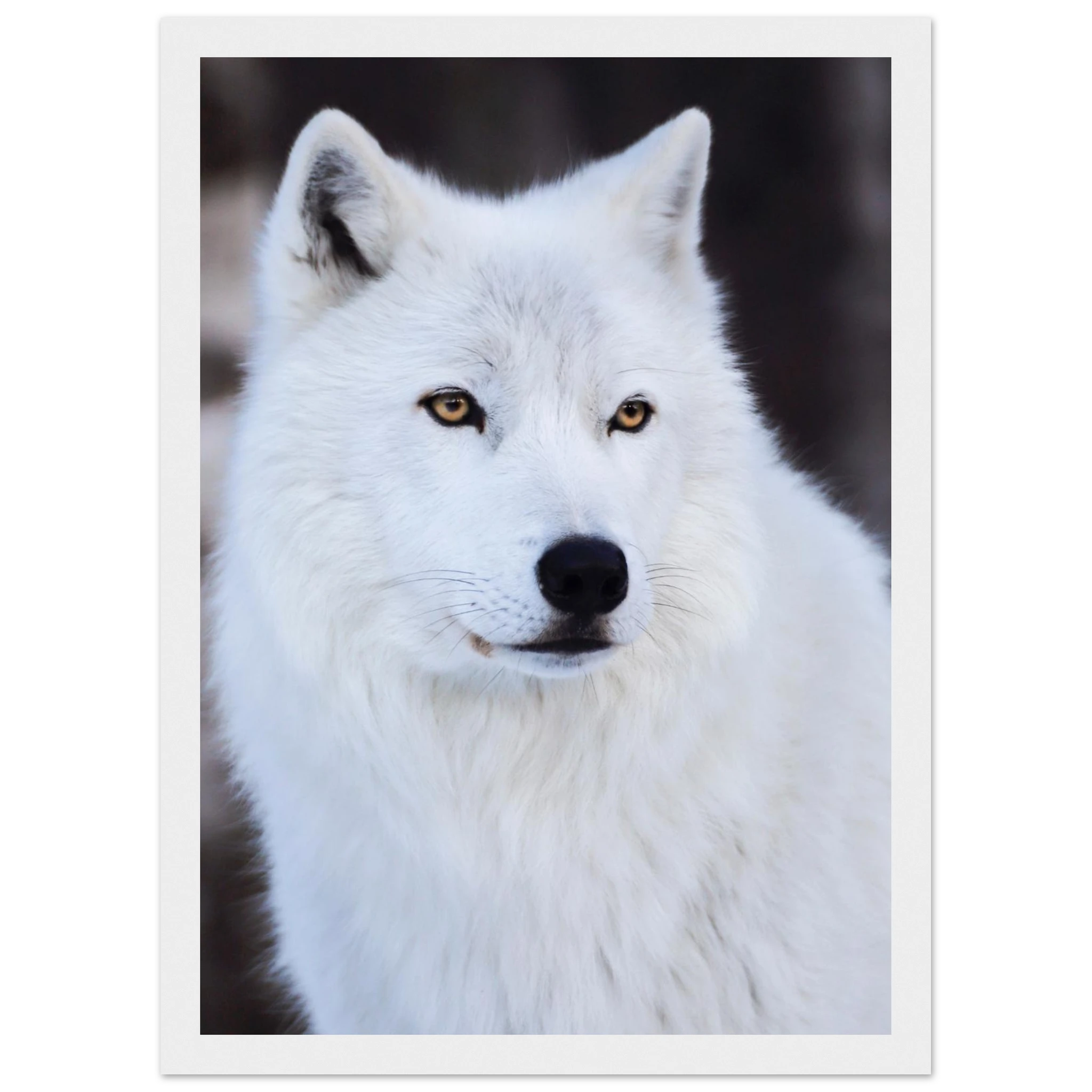 5c6617be-2b0b-4bd6-89d7-5a1eef2b975a