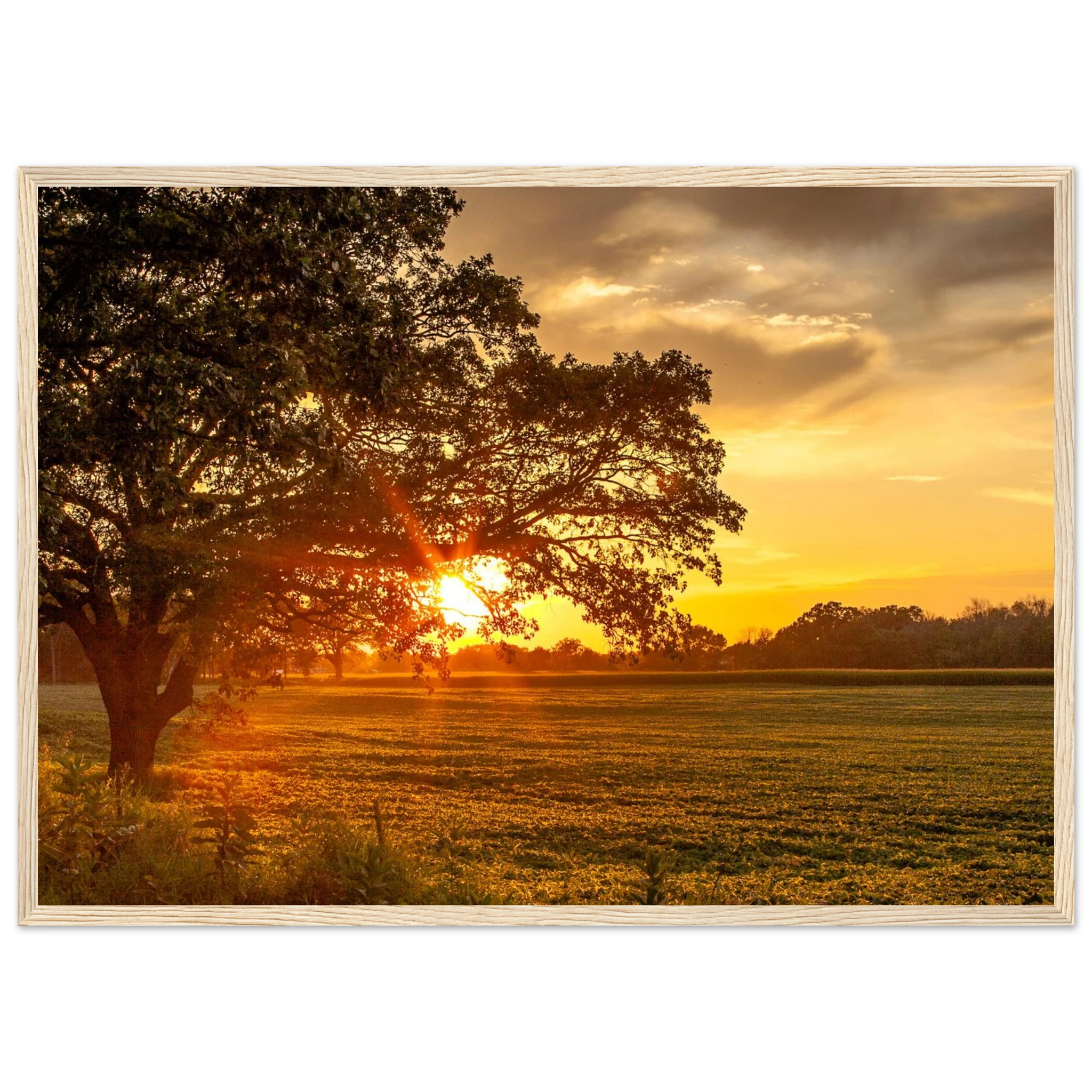 5c8c9a2b-3867-4197-a08c-27d27bed544f