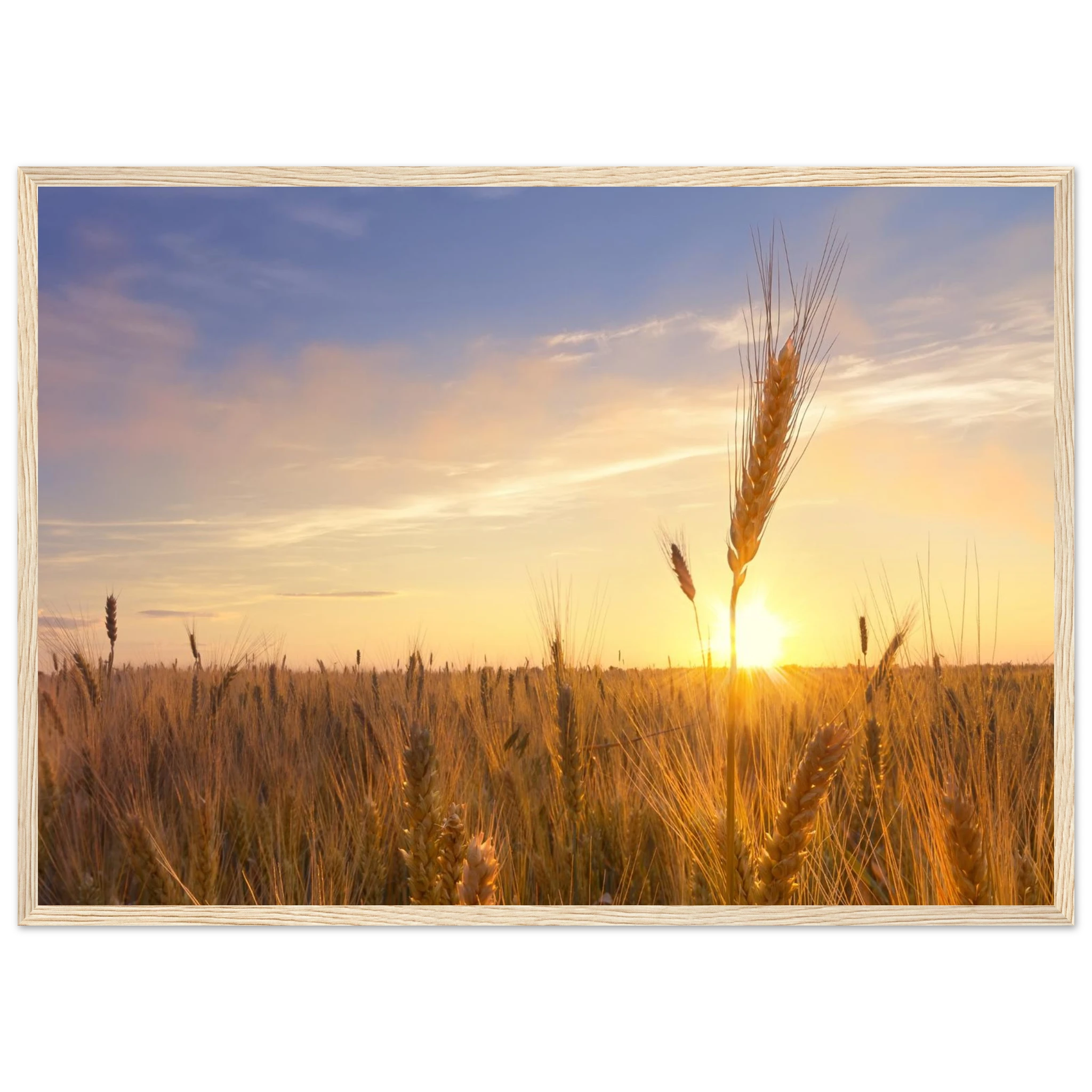 5c966959-8962-448b-b7c3-bc09579be8bd