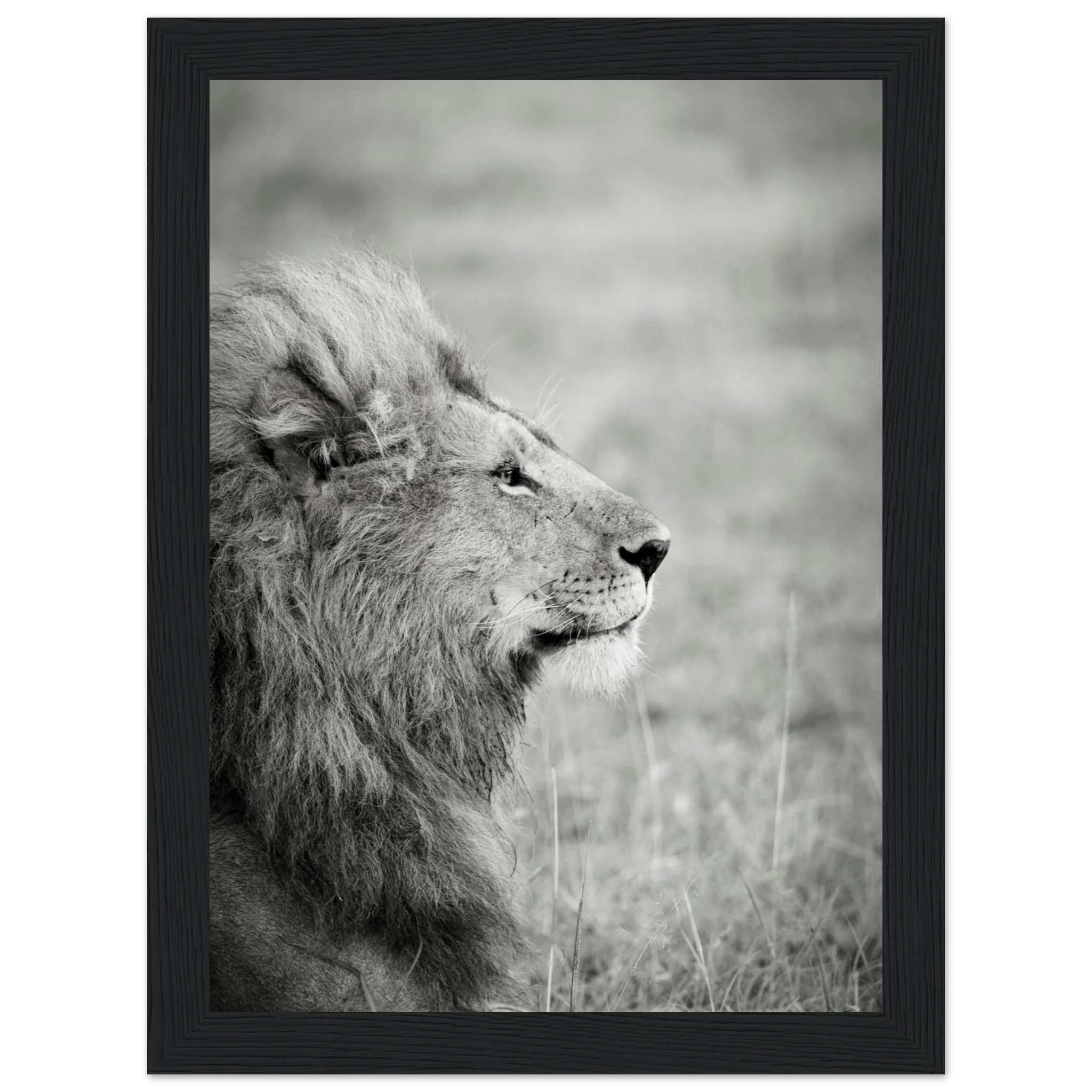 5cb66e82-7881-4f90-b7f9-233db35be377