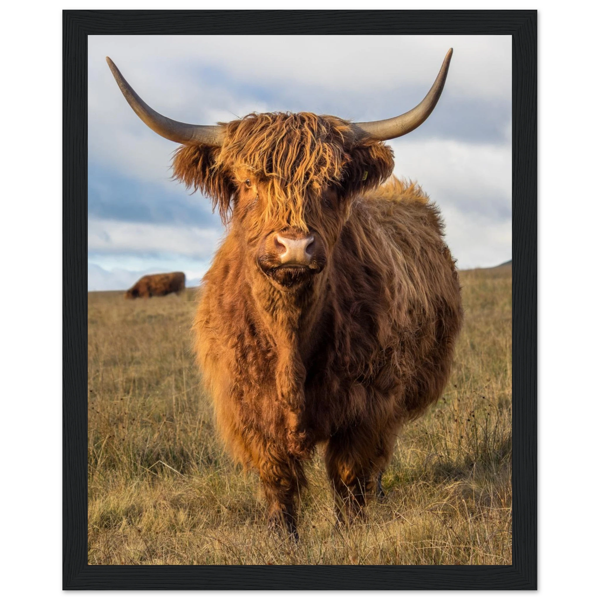 5cc4d2c0-a254-45b8-aab7-51761a6451c1