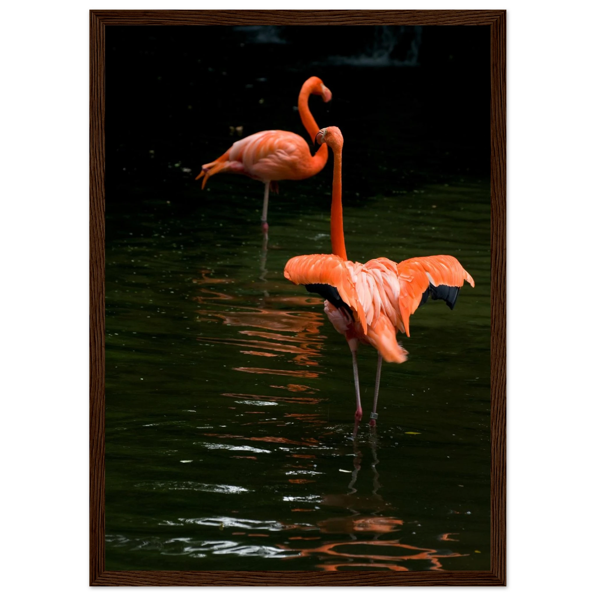 5cd095a9-d277-49f1-9dfb-ef0fd81f52c6