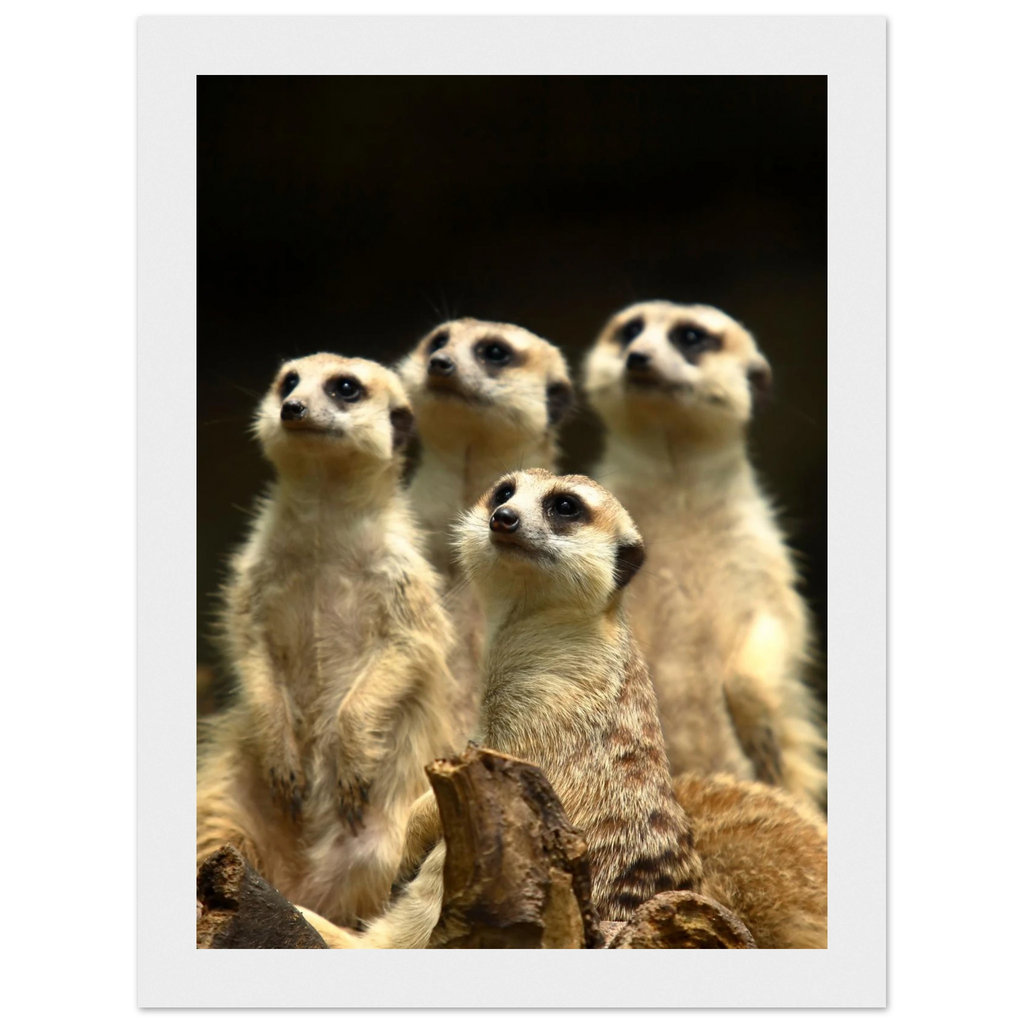 5cda9e3e-bb52-473a-a9eb-e0326d05b49c