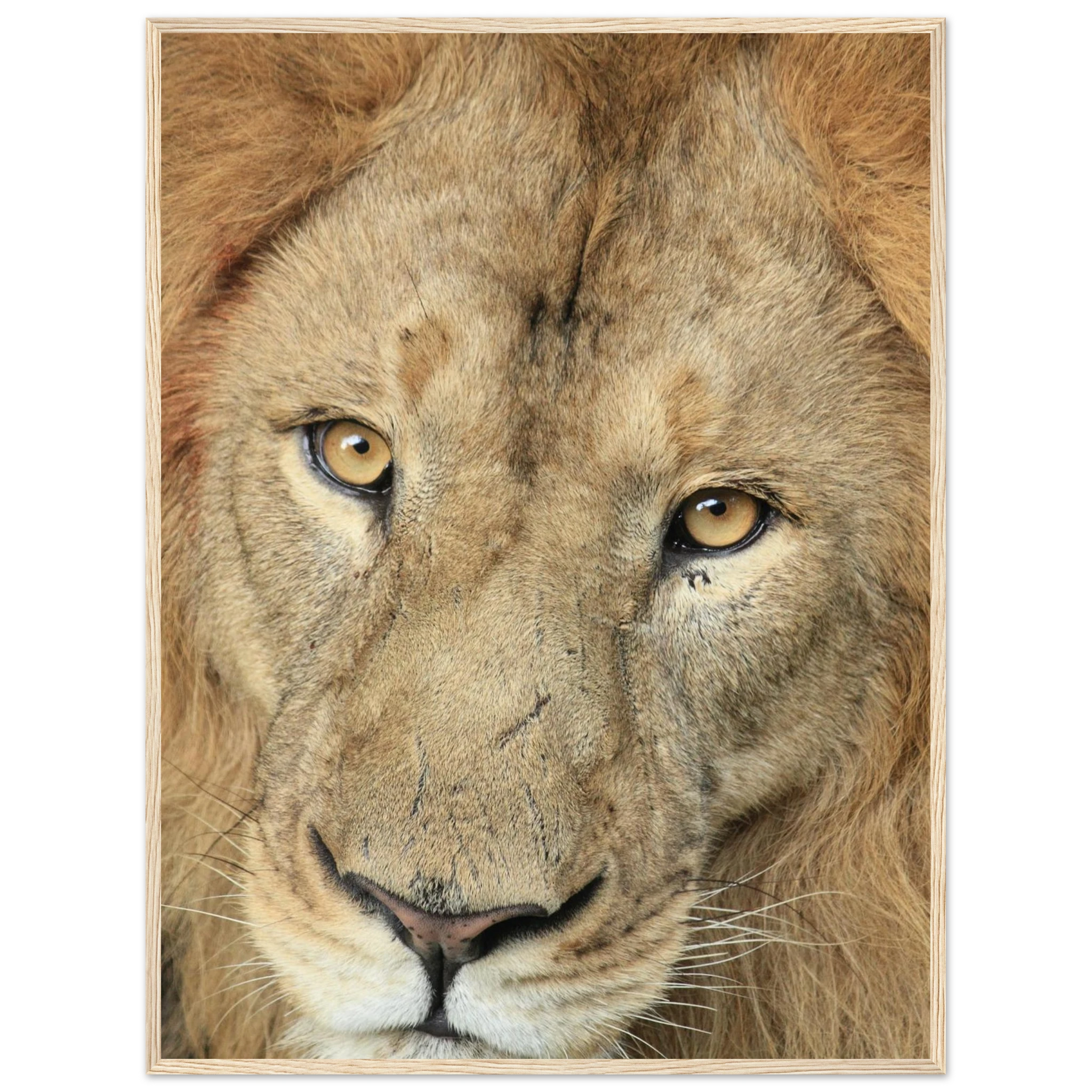 5d199190-0dce-49a5-8c6e-d86637e91bfe