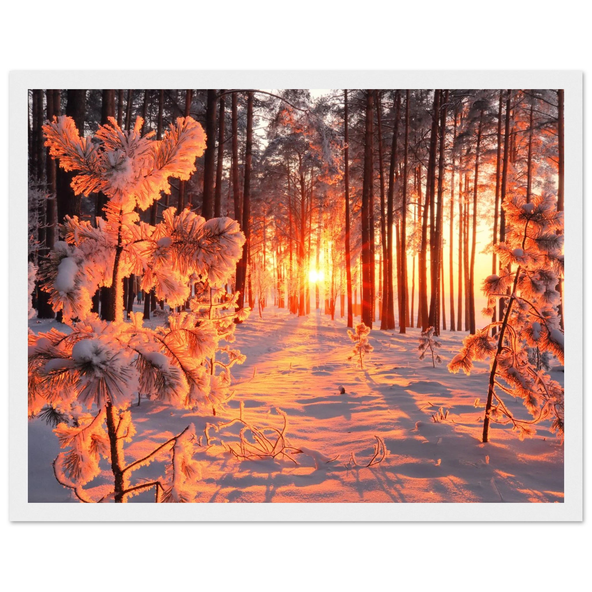 5d1a3370-f6bc-4d74-af1e-f5068791041f